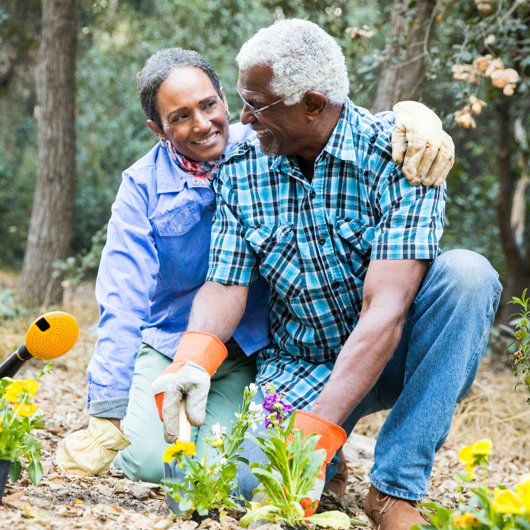 Independent Seniors gardening