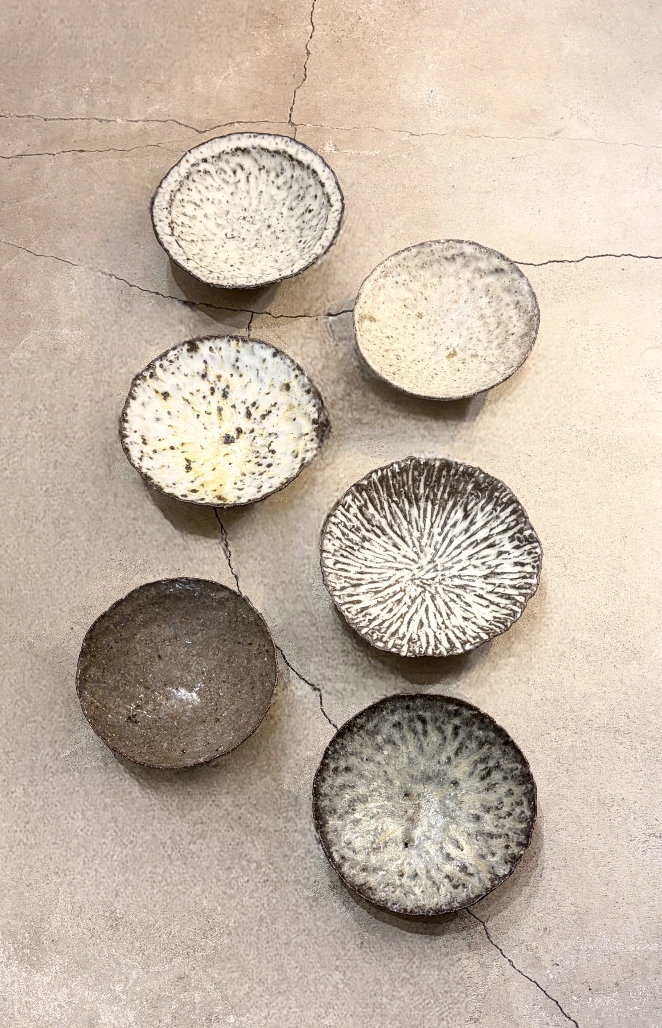 IMG_6915_Image Enhancer 2.jpg