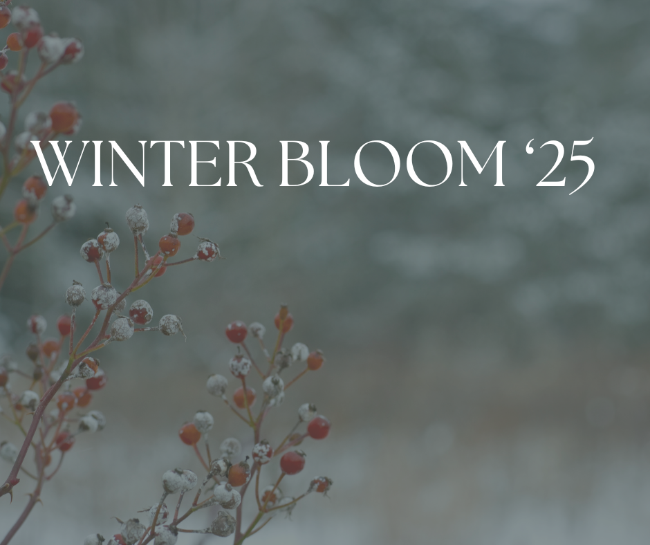 Winter Bloom.png