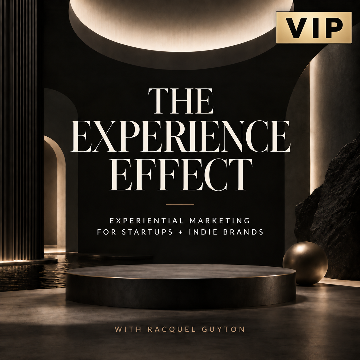 VIP The Experience Effect Masterclass