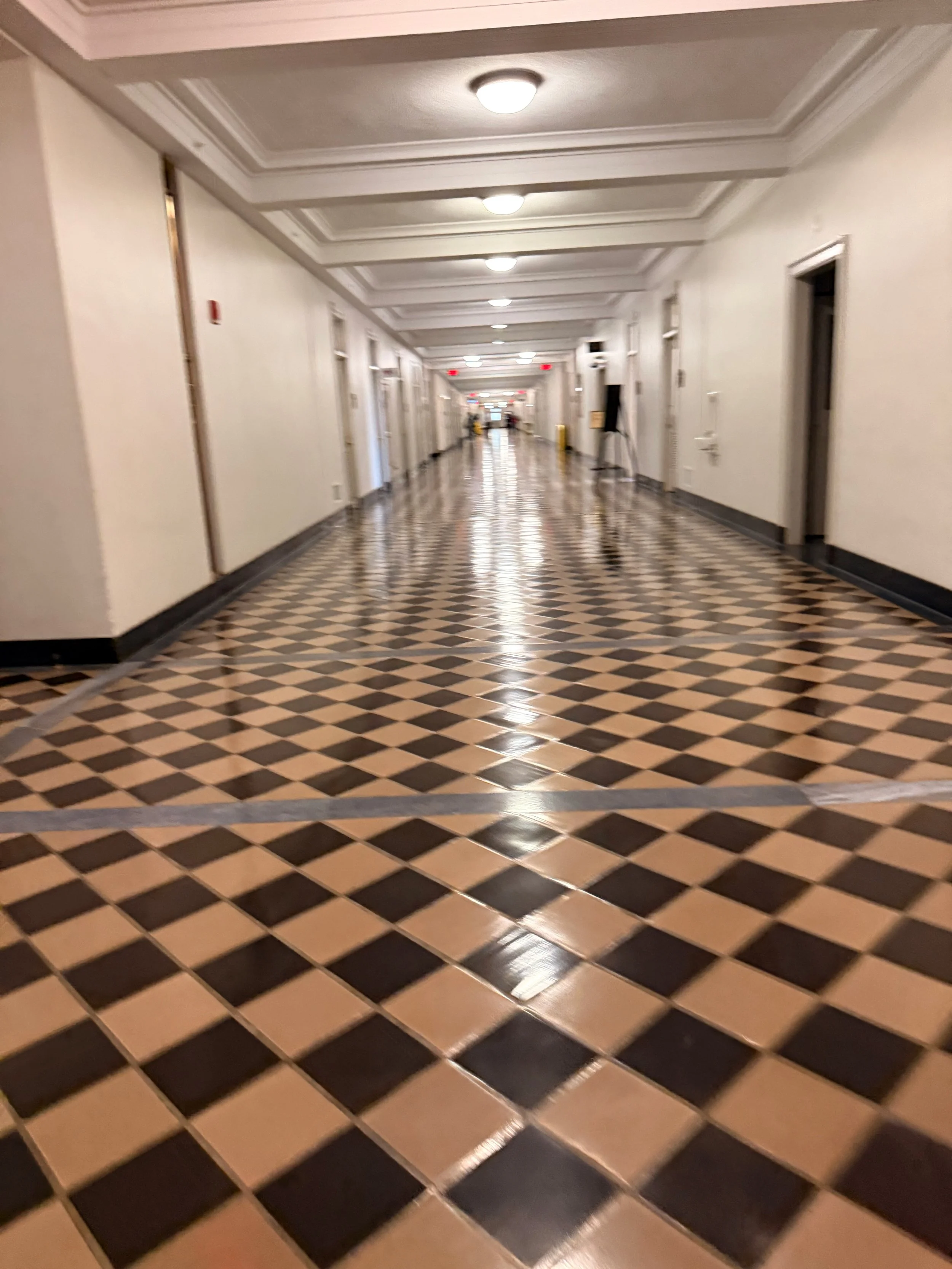 IMG_6963.jpeg