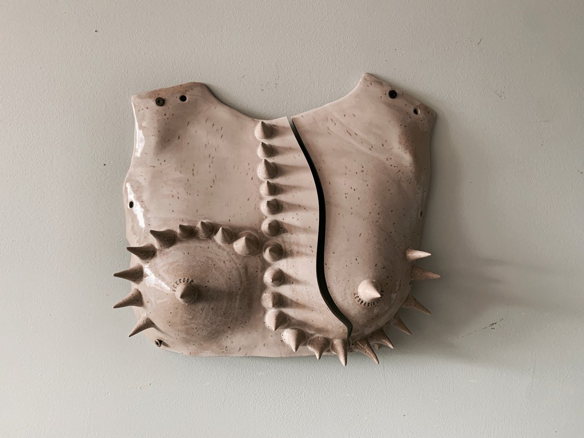 breast-shield-art.jpg