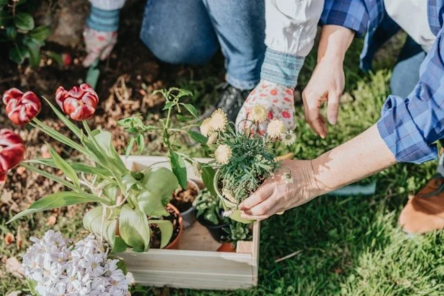 This Prayer Is for You