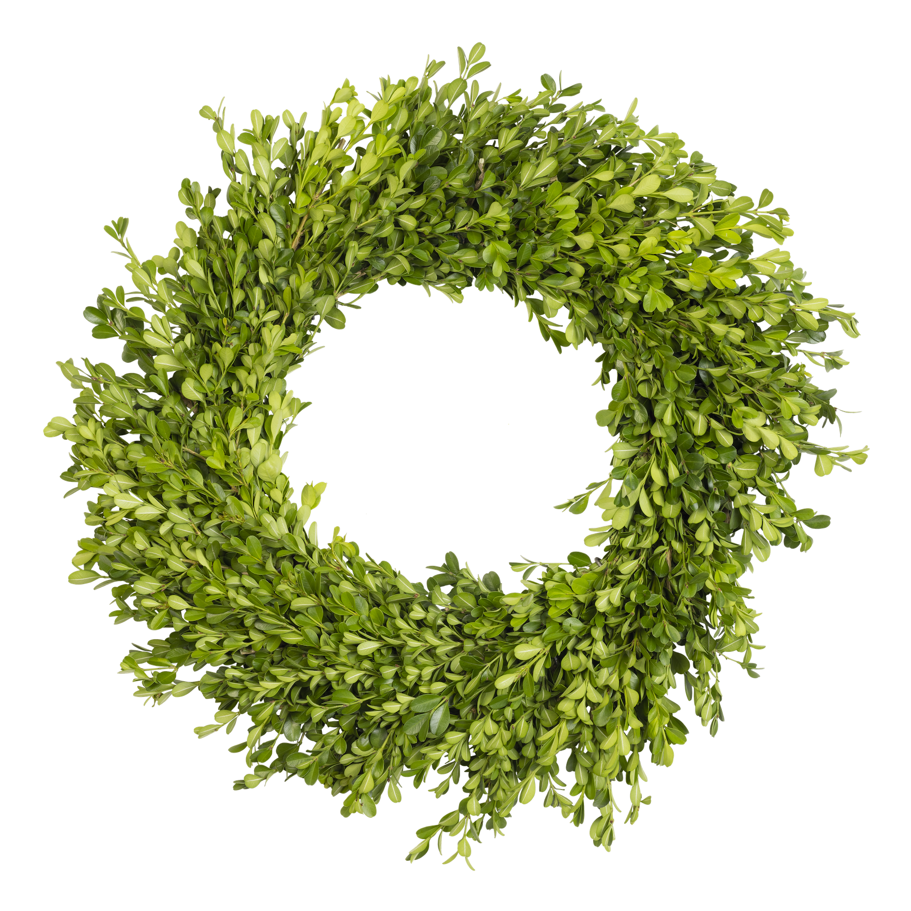 BoxwoodWreath.png