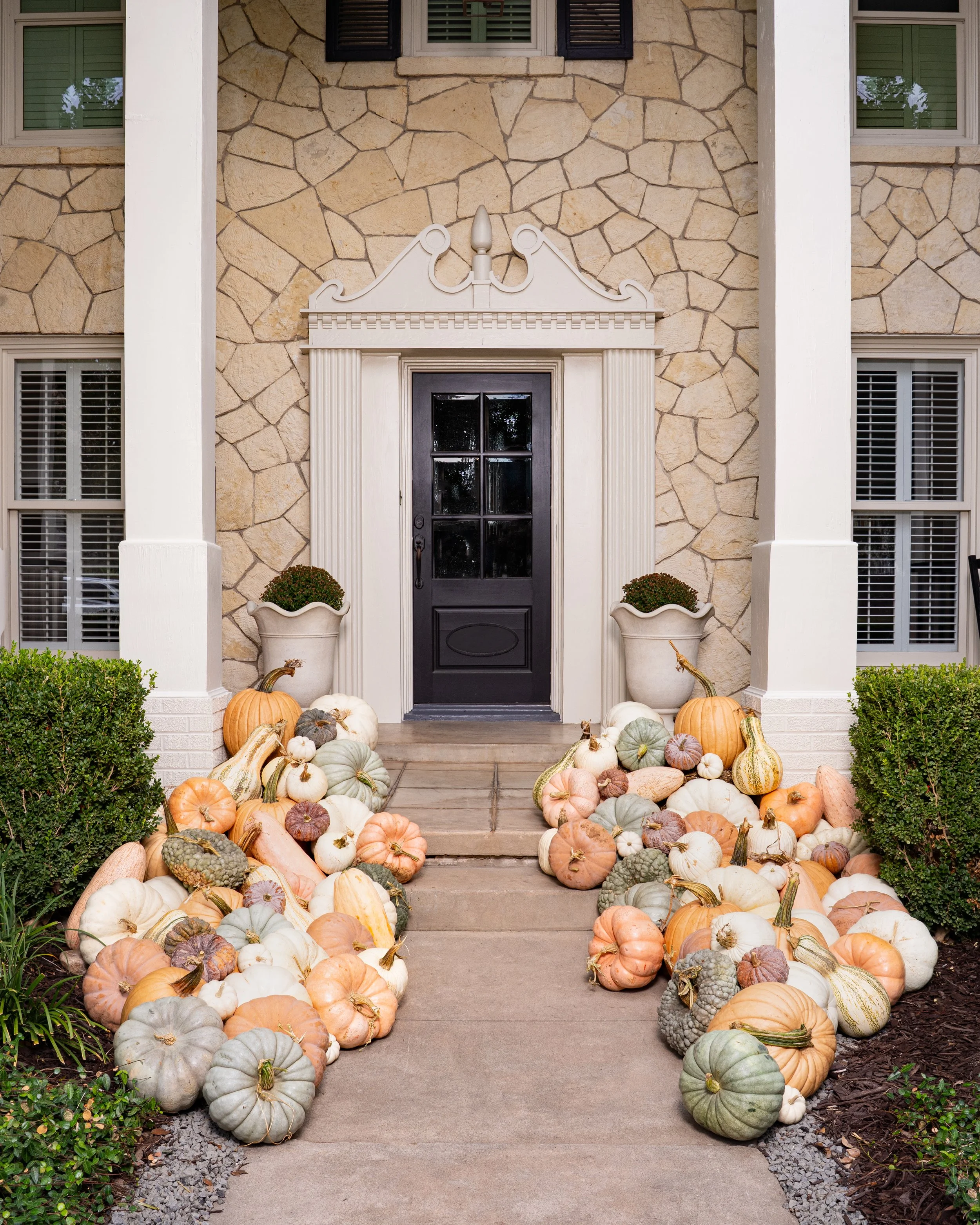 Pastel | A Plethora of Pumpkins