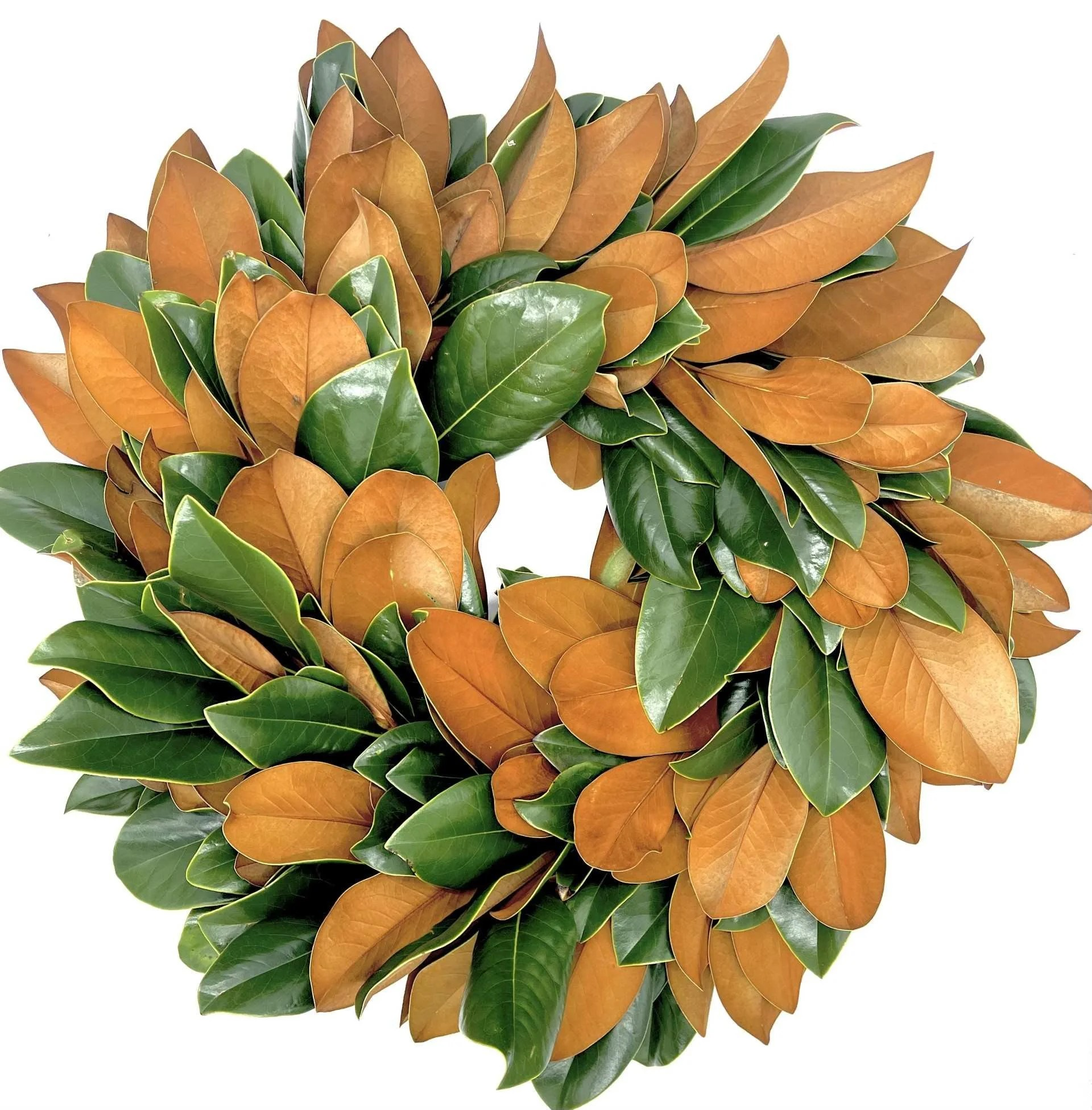 MagnoliaWreath.png