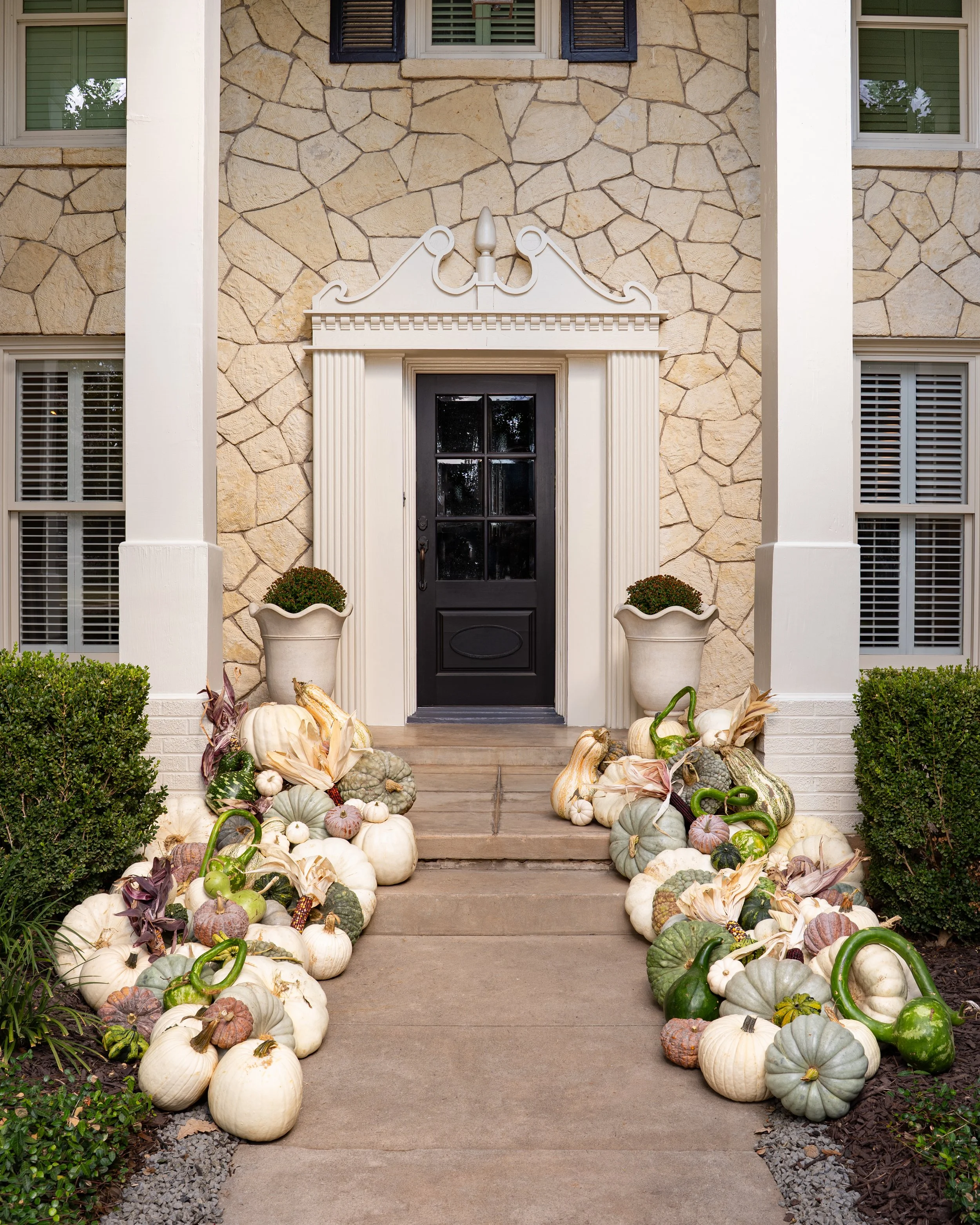 Alegra Volpe Designs | A Plethora of Pumpkins