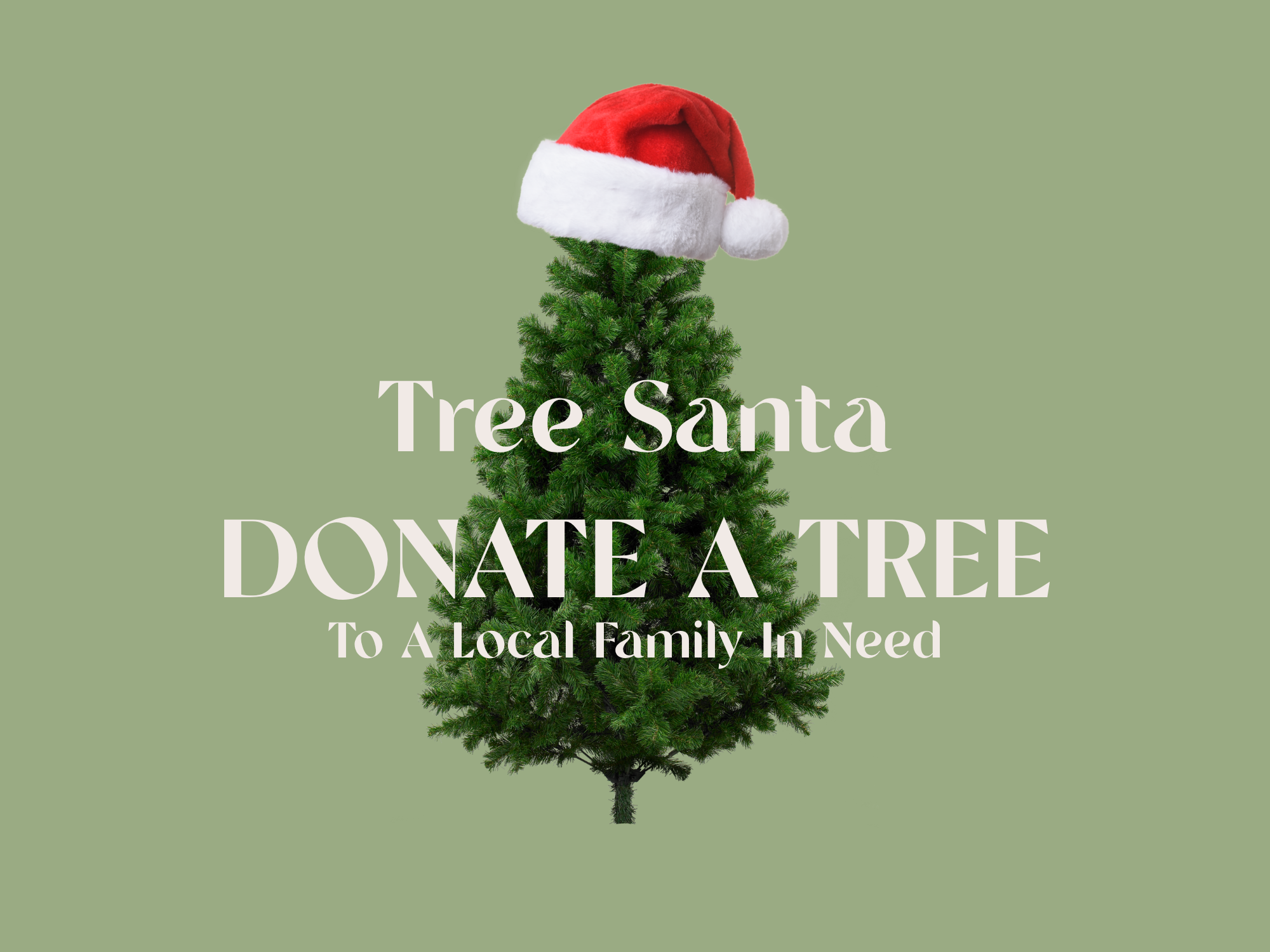 Tree Santa (Donate A Tree)