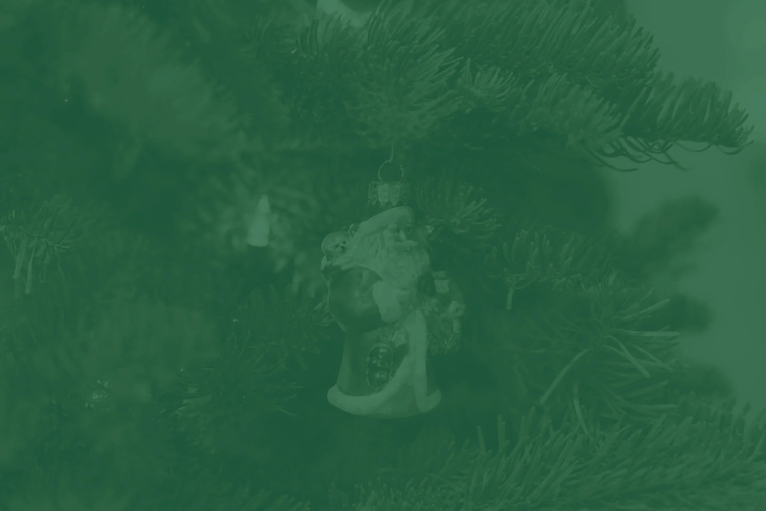 HT&CO+TREE+BACKGROUND.jpg