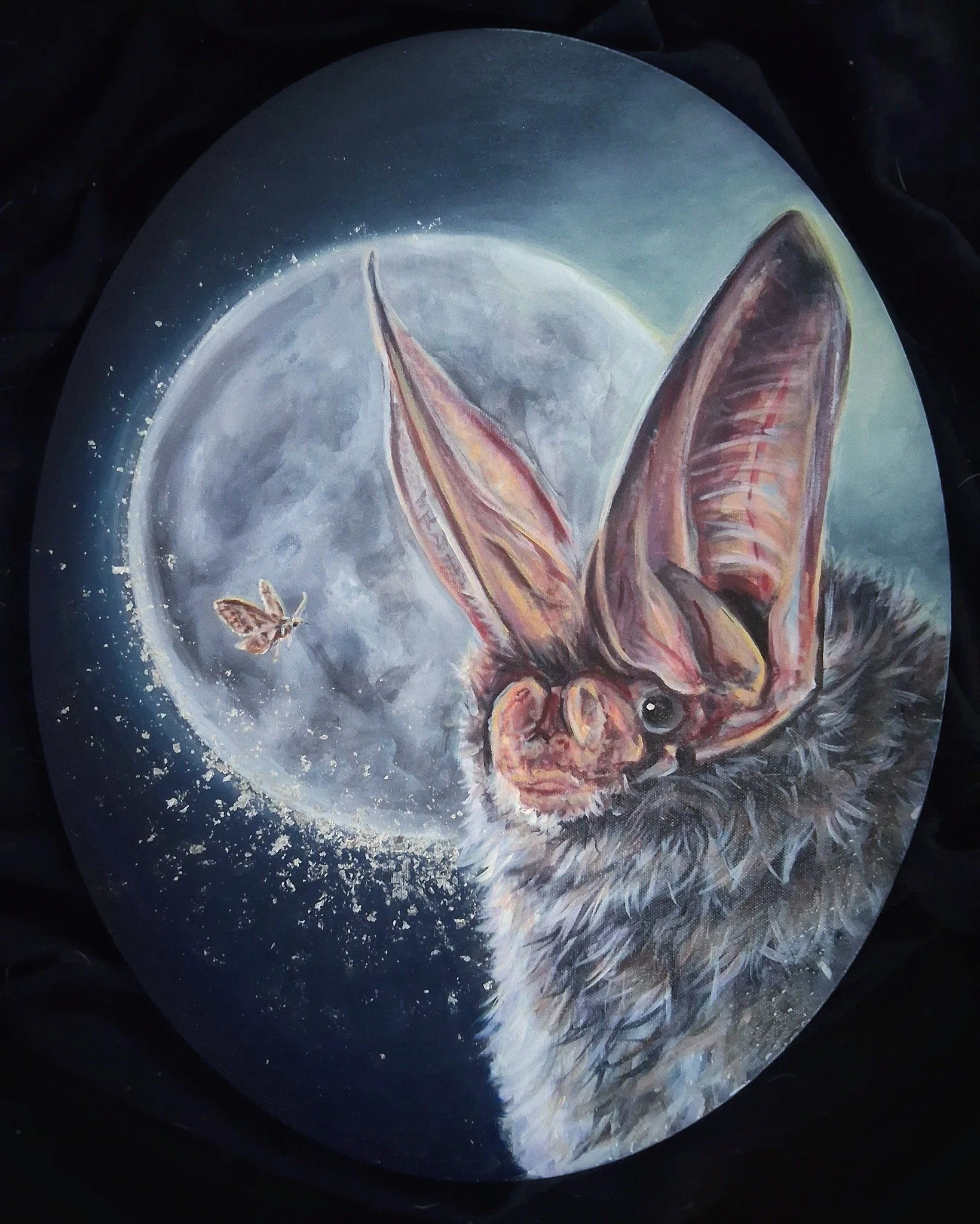 A Painting of Rafinesque's Big Earred Bat for the Virginia's Department of Wildlife Resources 2026 Restore the Wild Artwork Competition
