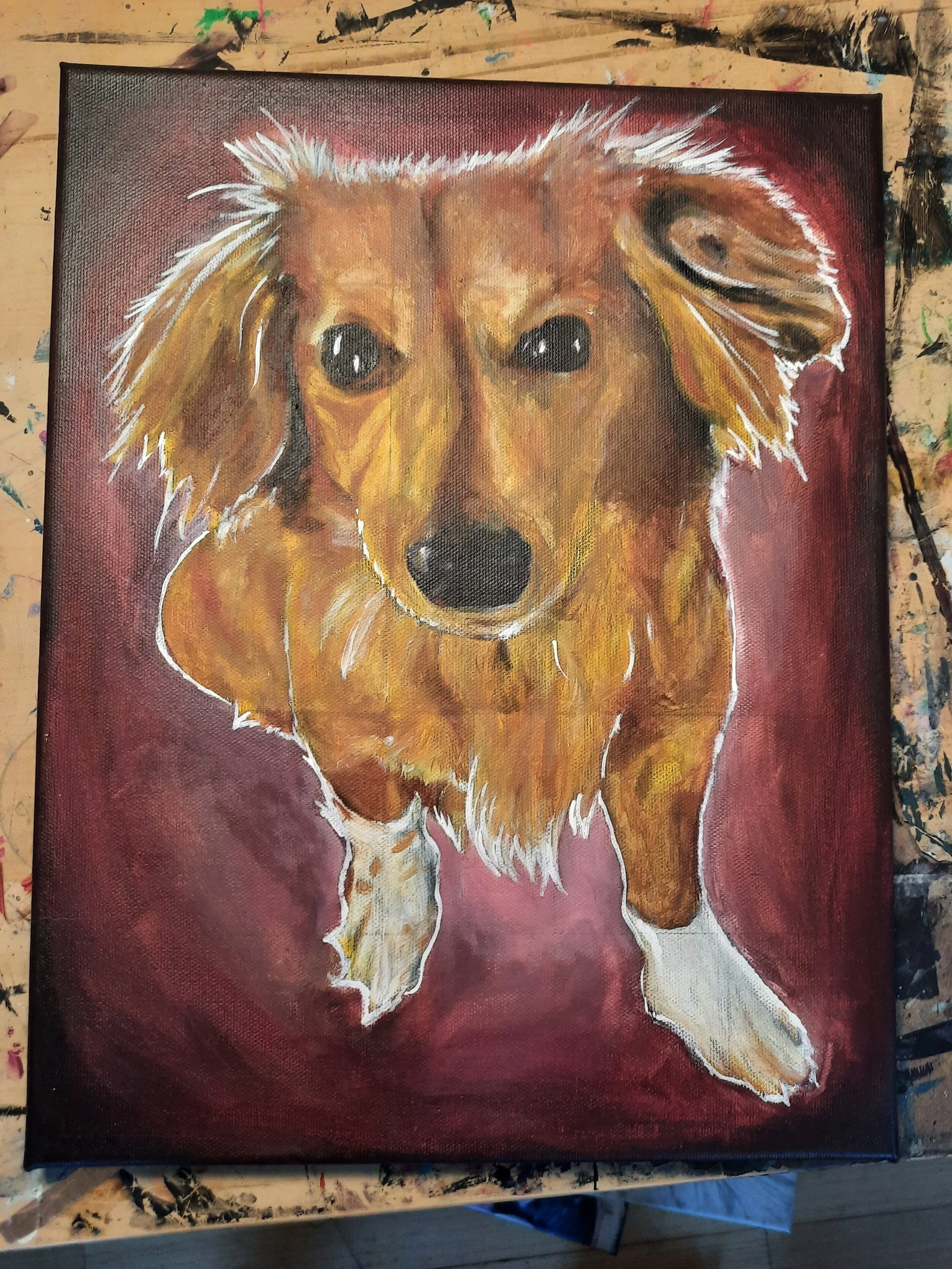 20201221_120234.jpg