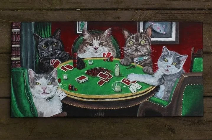 petp2.jpg