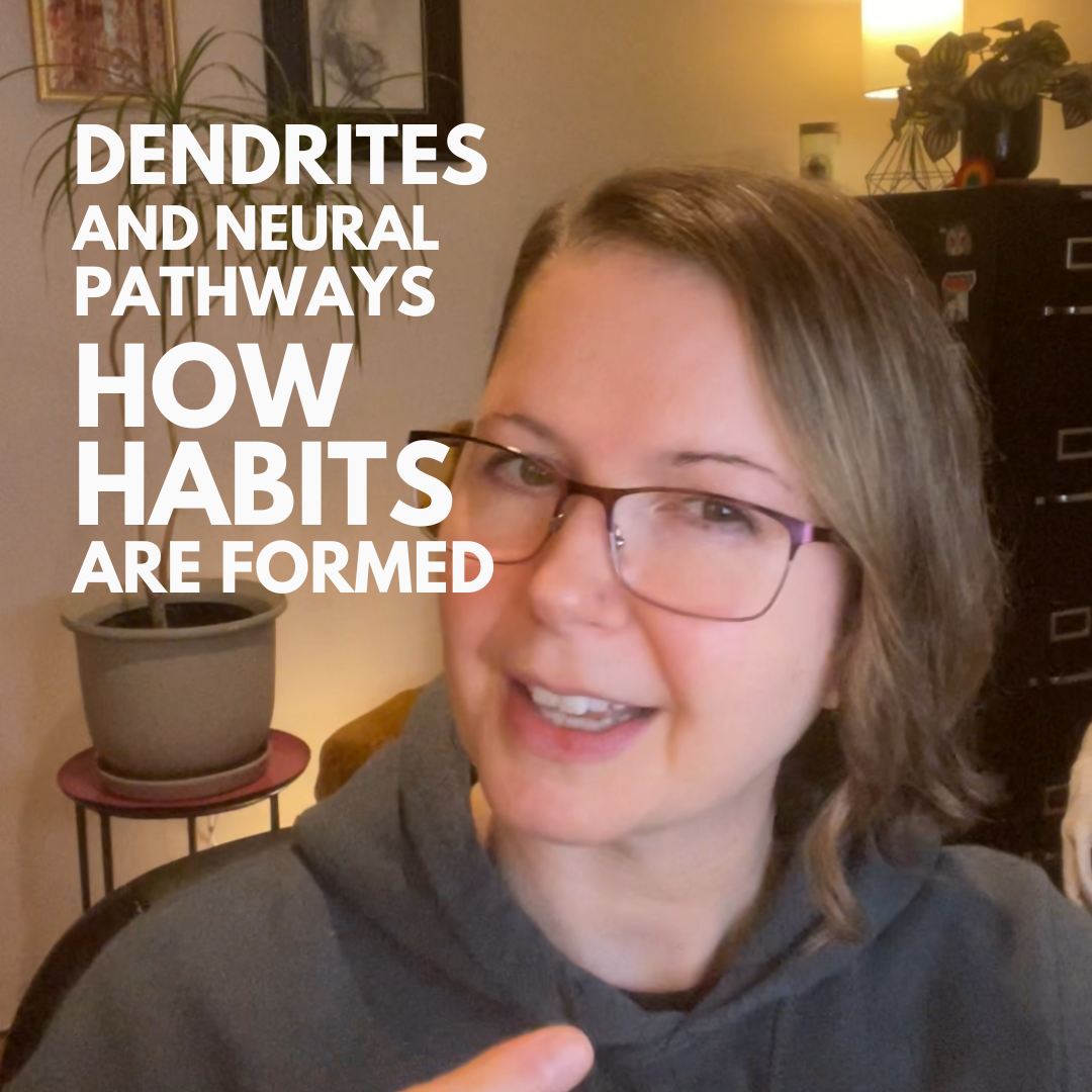 How our habits are formed.