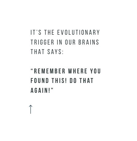Image with text: "It’s the evolutionary trigger in our brains that says: “Remember where you found this! Go do that again!”