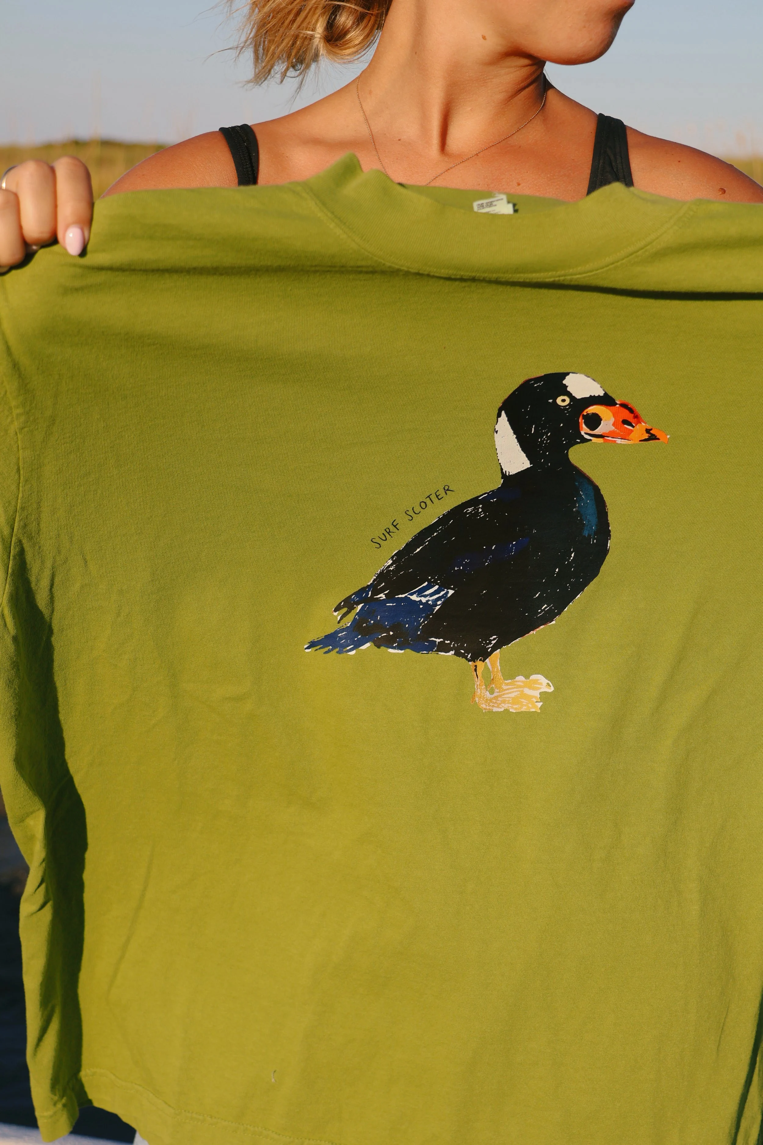 surf scoter green6653.JPG