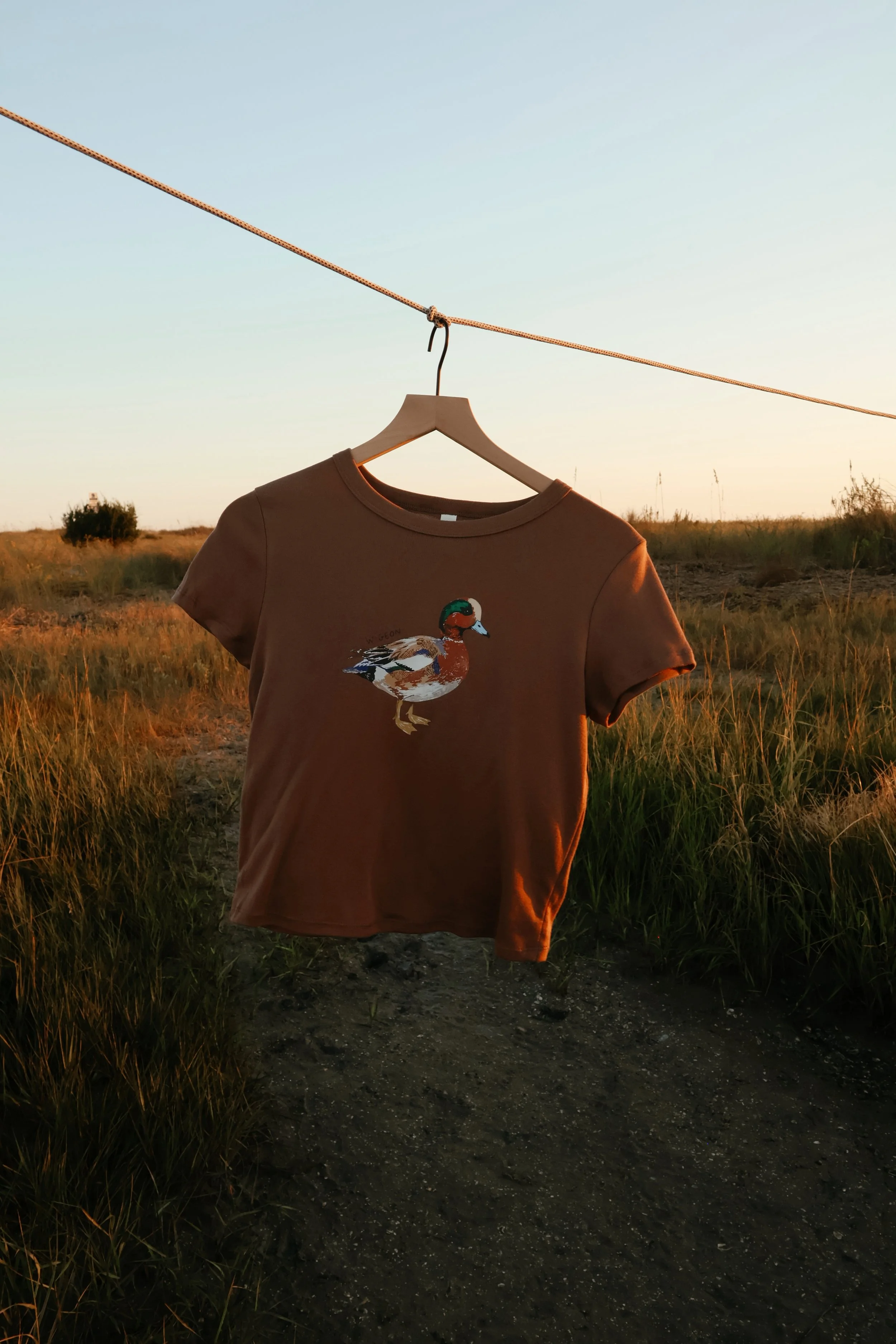 wigeon baby tee4574.JPG