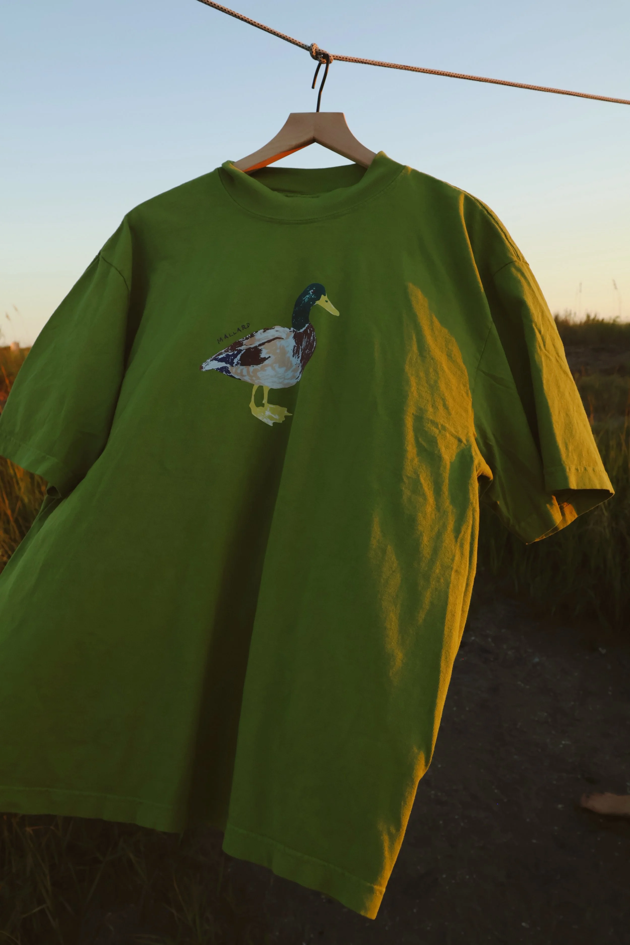 mallard tee8005.JPG