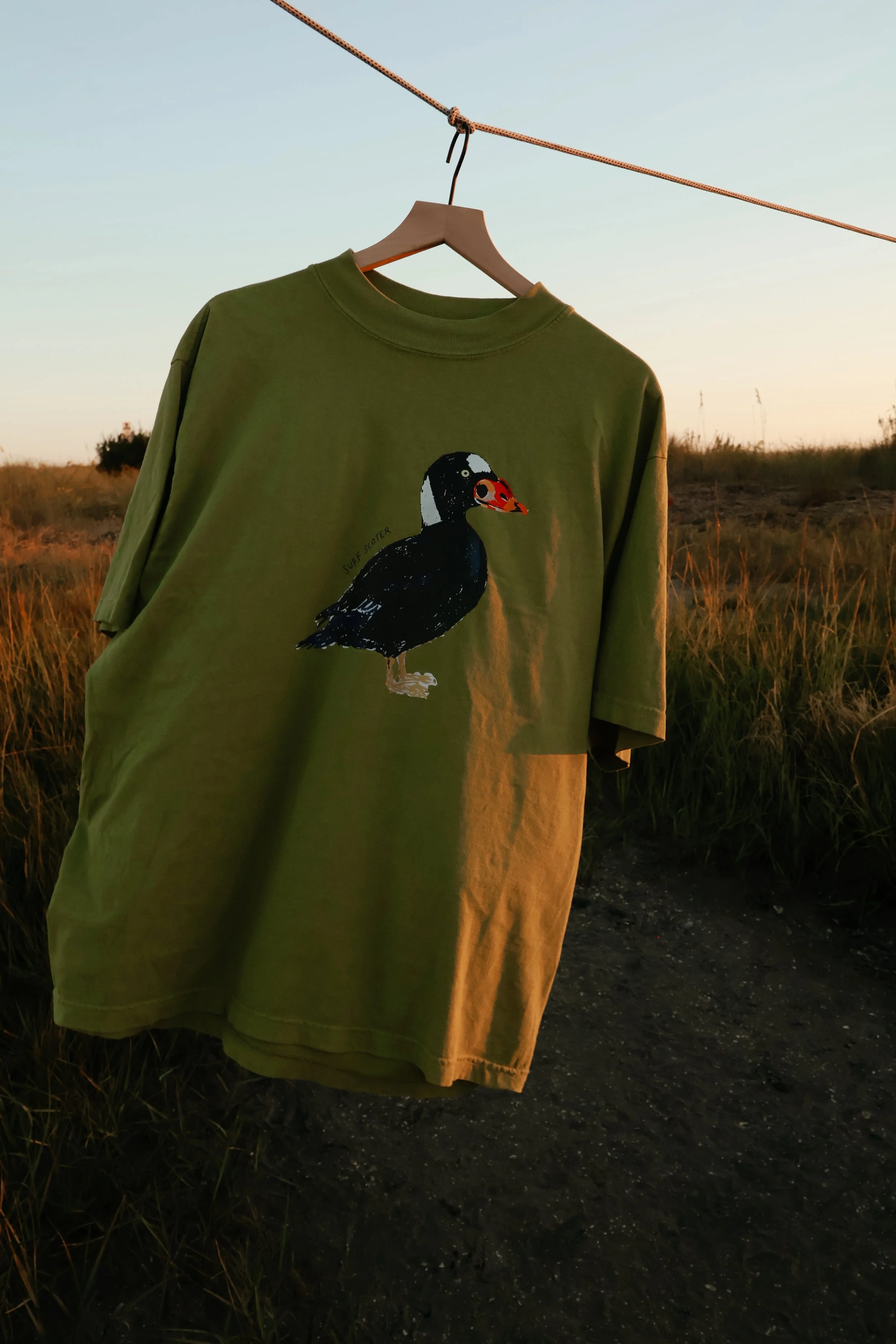 surf scoter green-2221.JPG