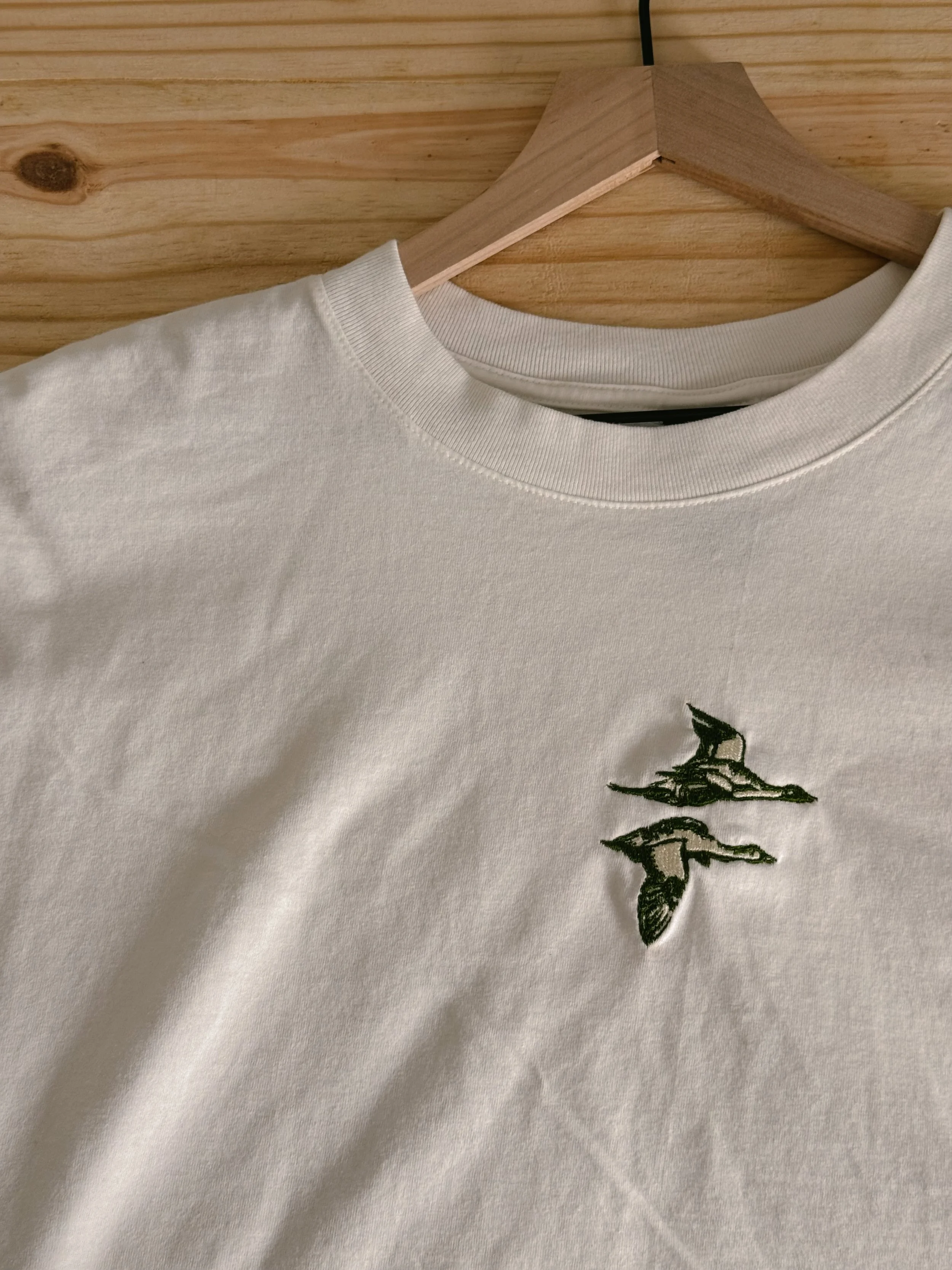 pintail tee0267.JPG