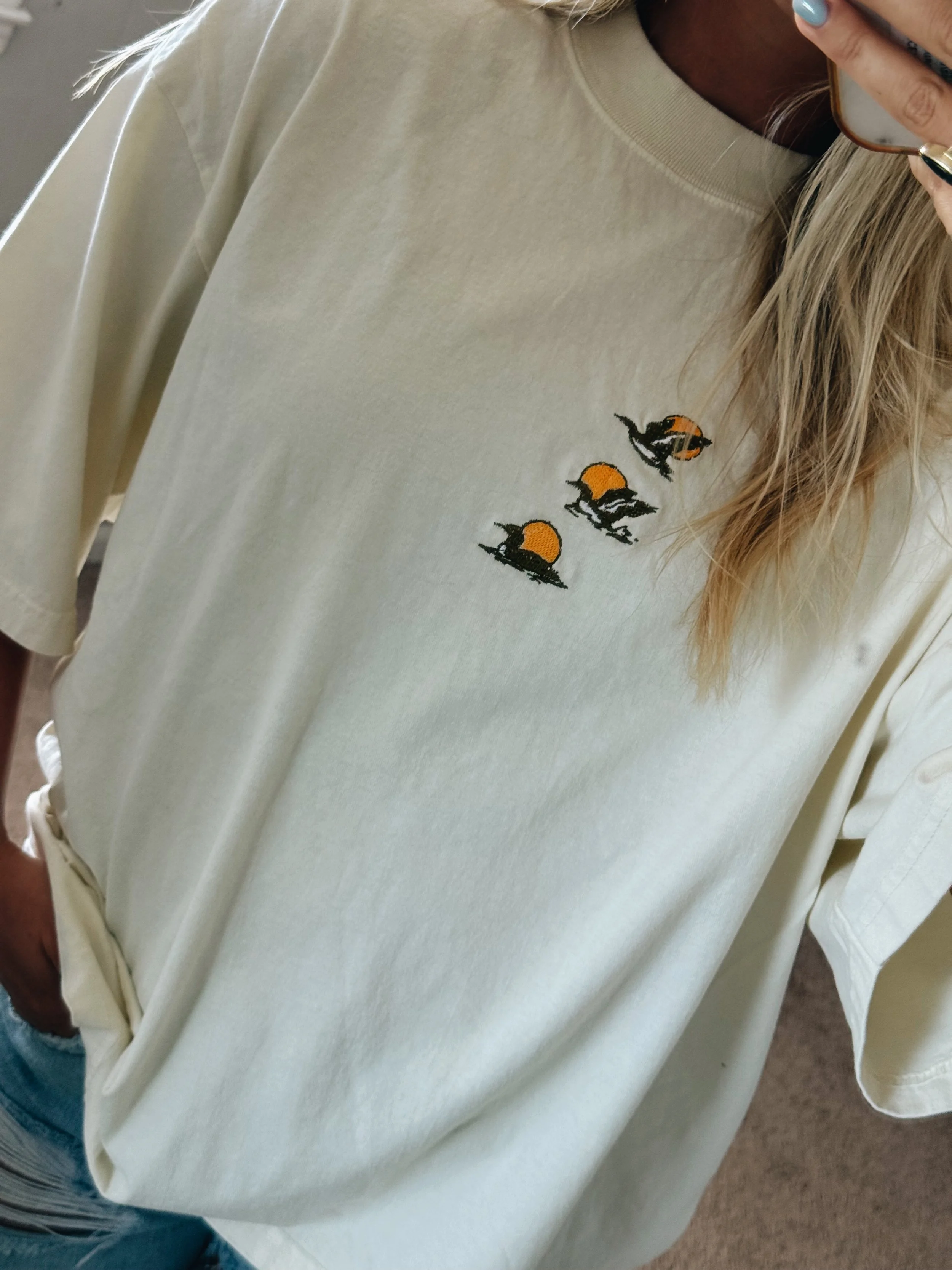 loon sunset tee6056.JPG