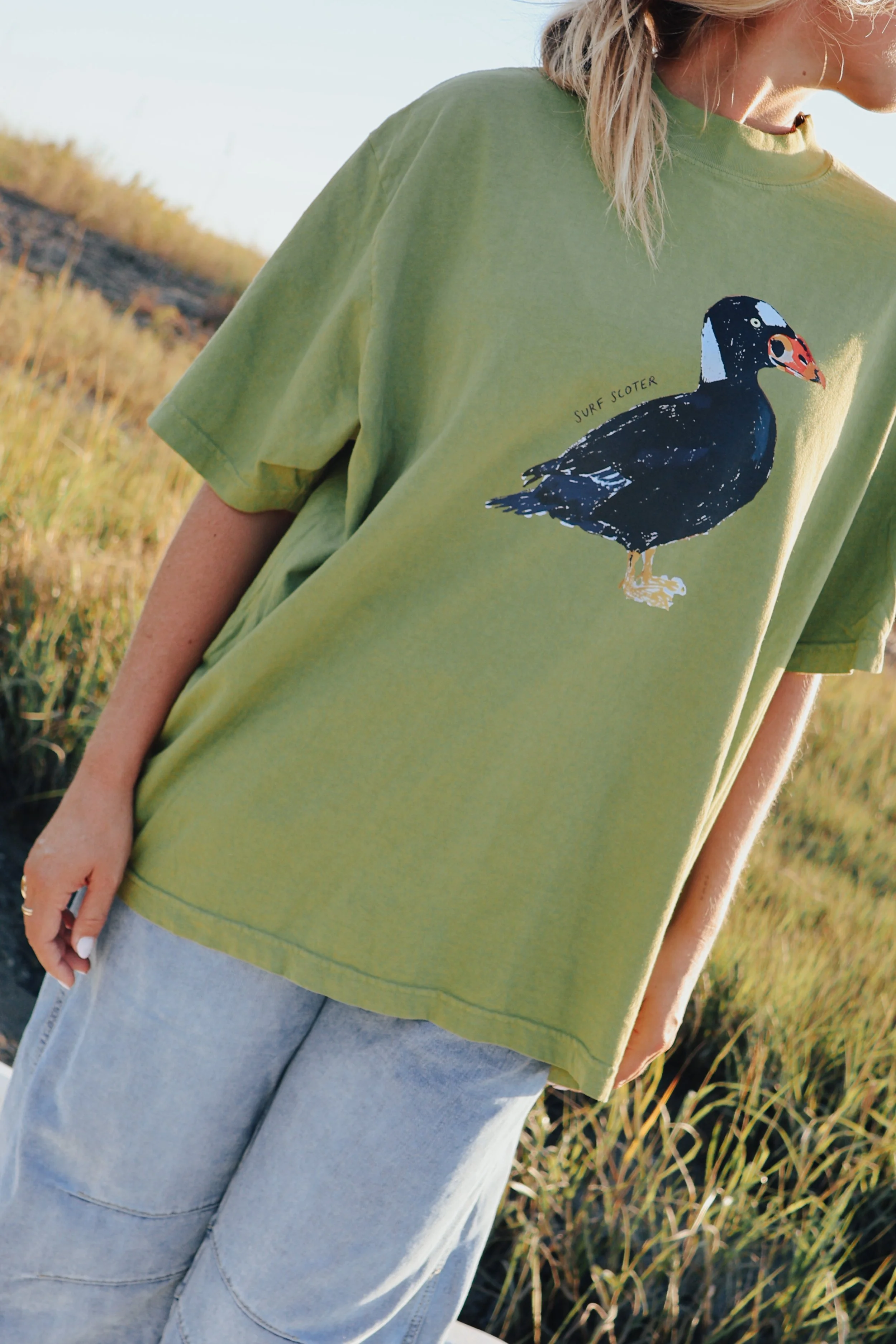 surf scoter green9050.JPG
