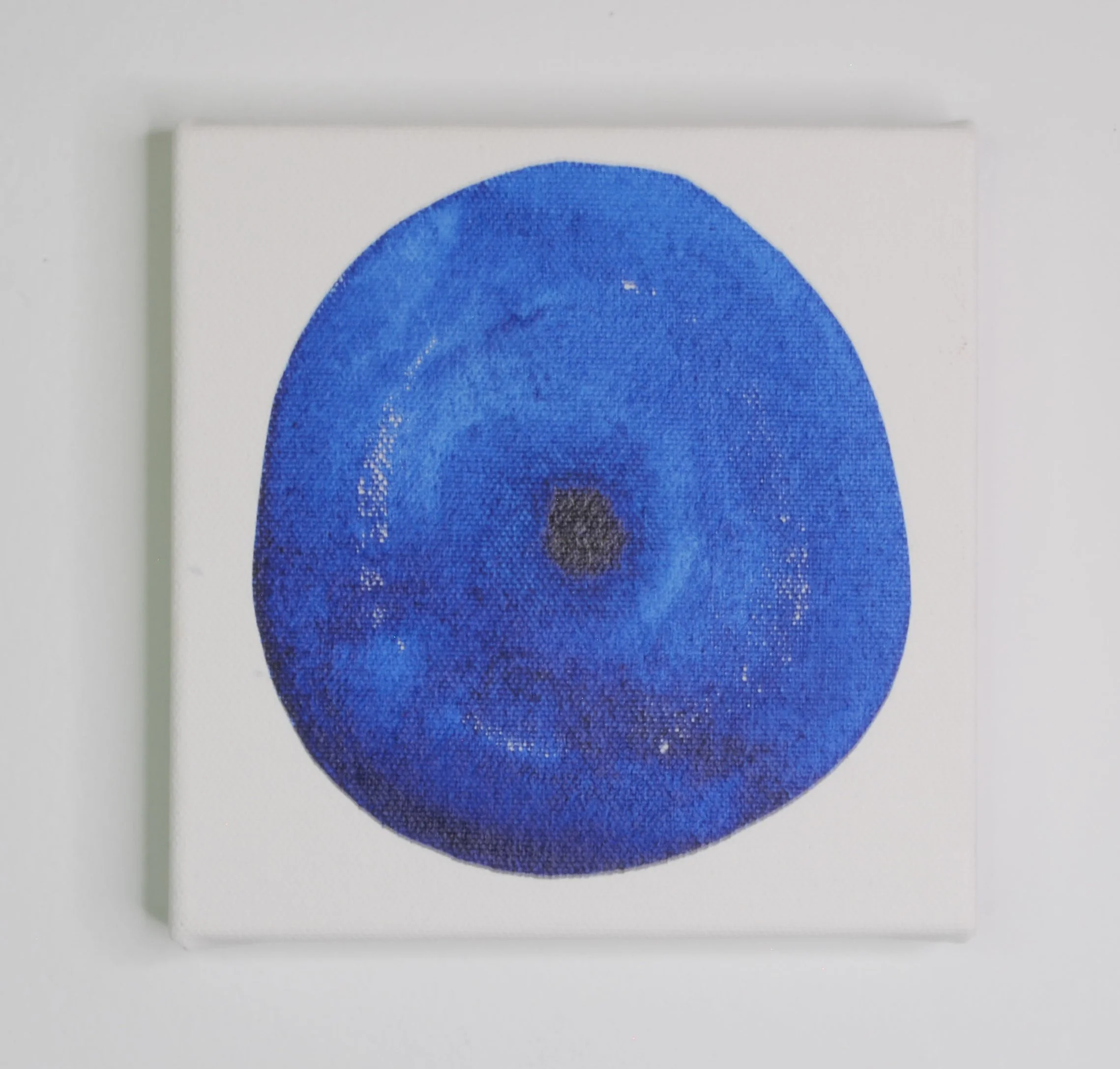 indigo I-2.jpg