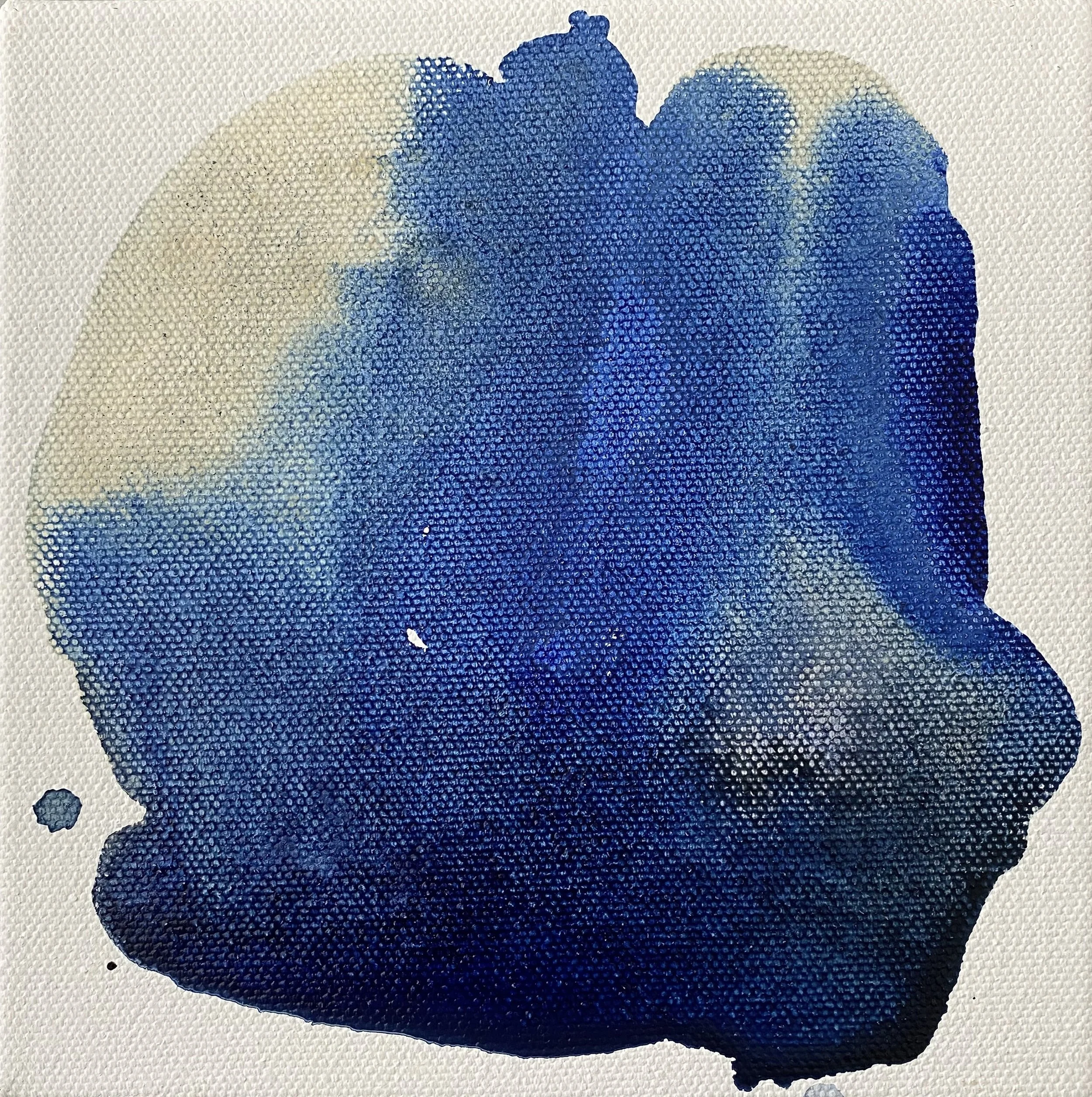 Indigo XIX.jpg