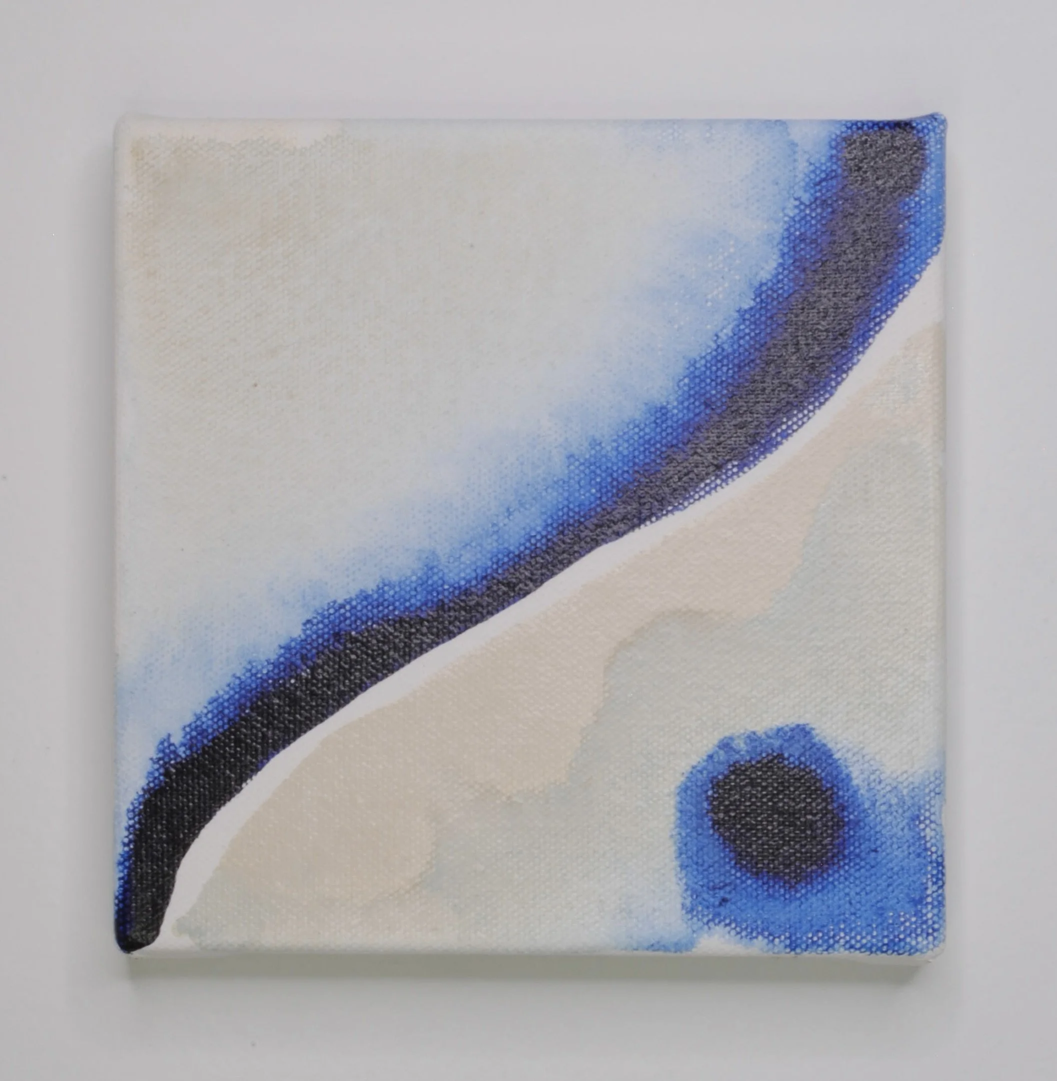 Indigo X-2.jpg