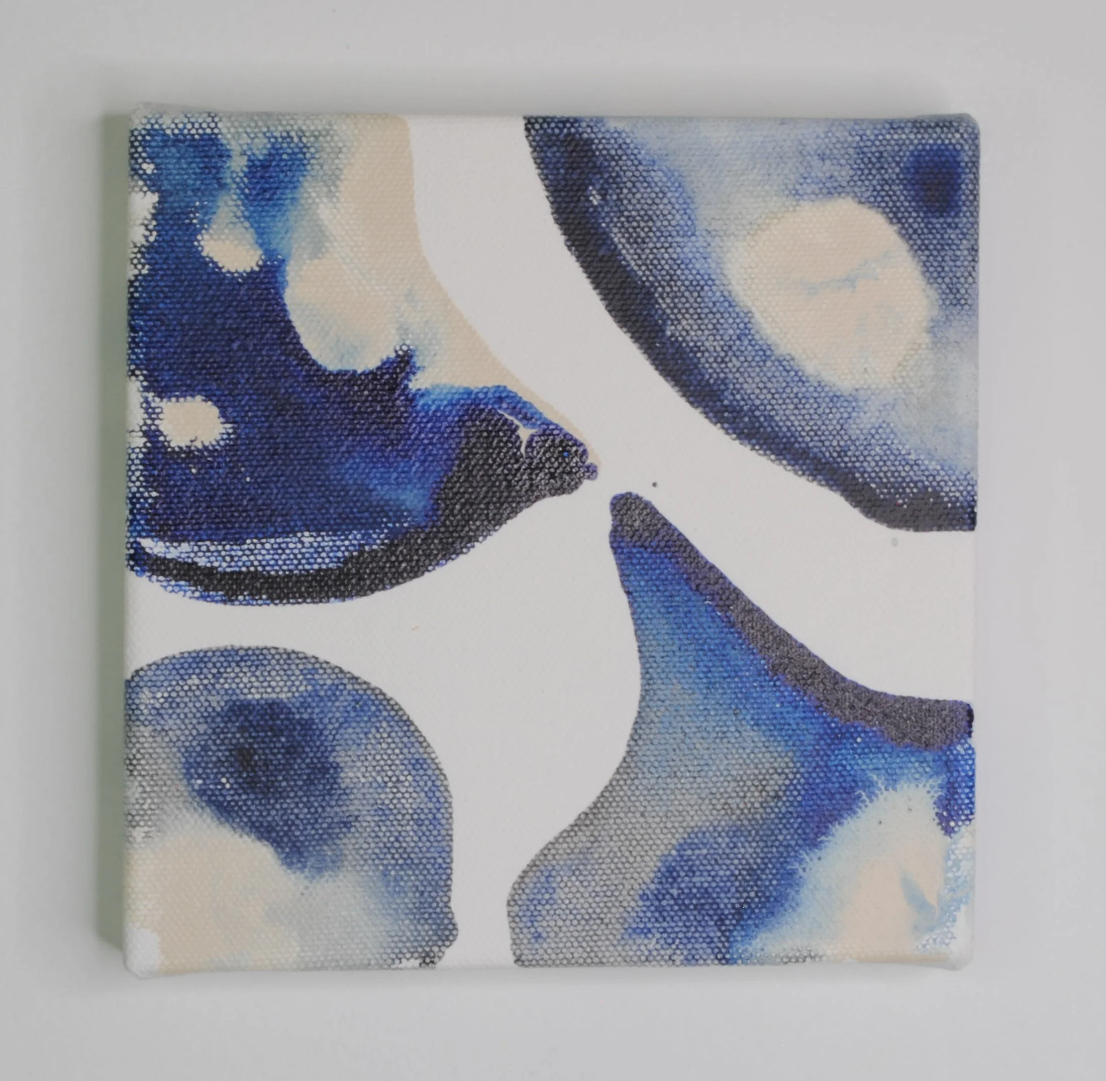 Indigo XXV-2.jpg