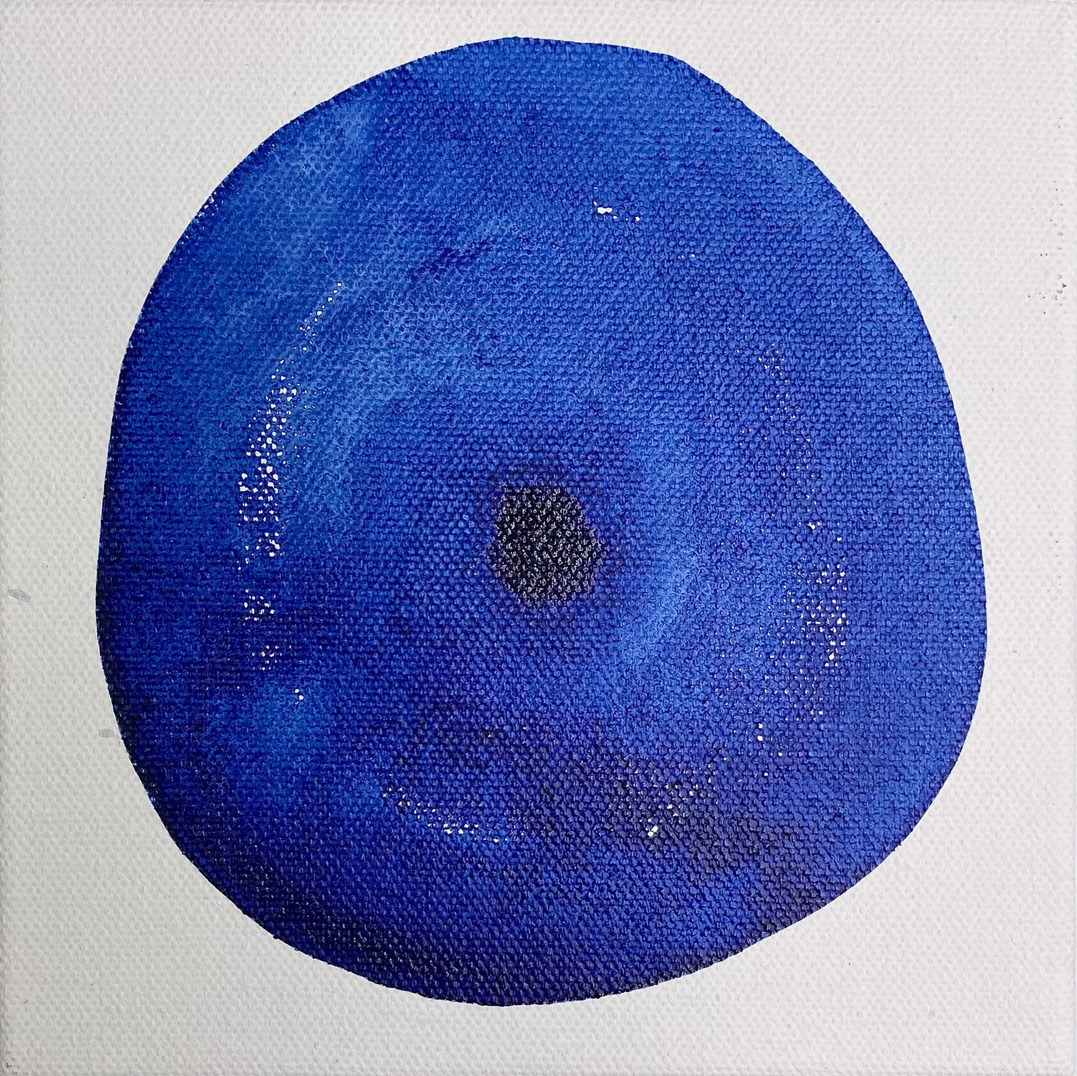 Indigo I.jpg