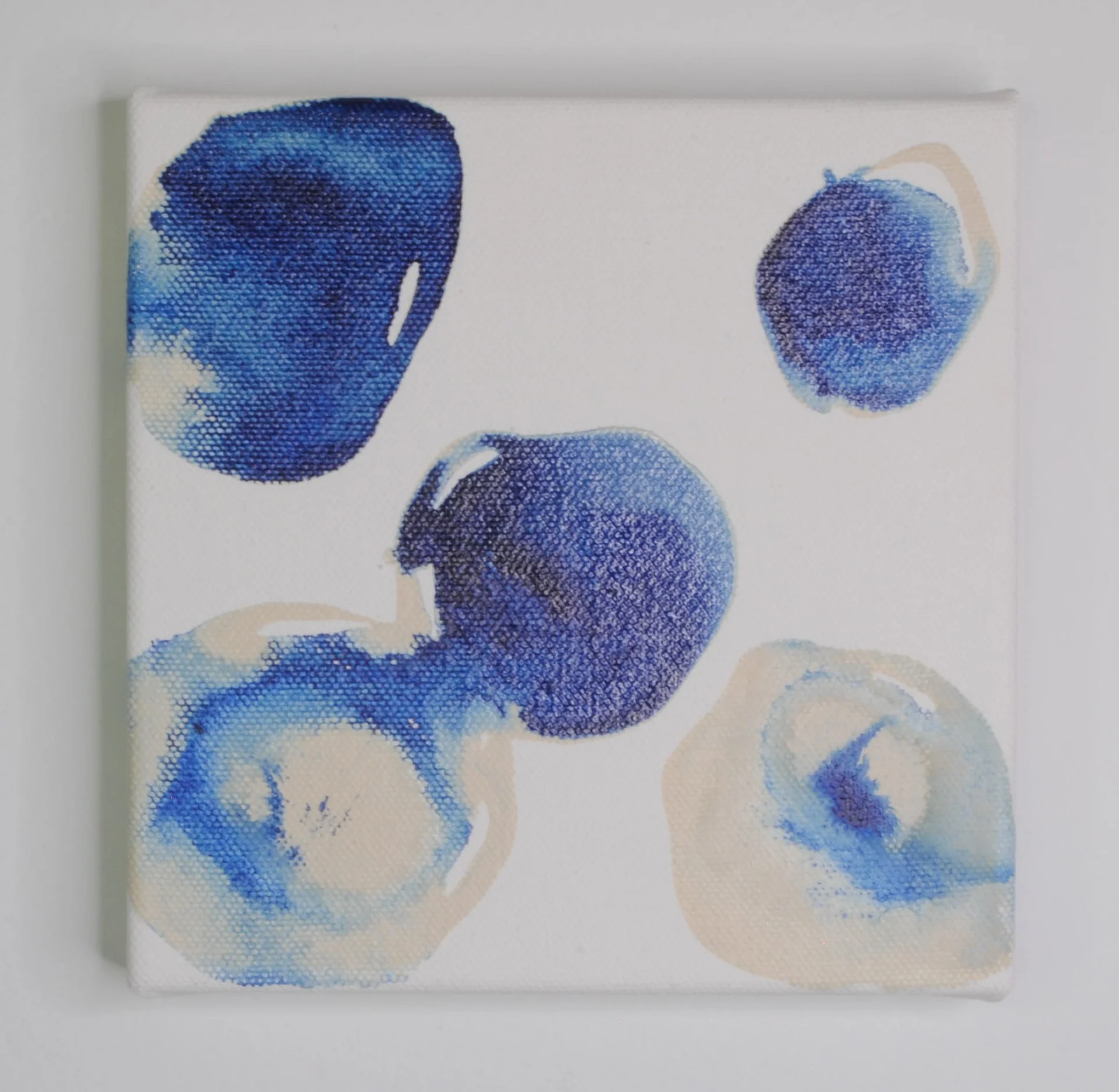Indigo XVI-2.jpg