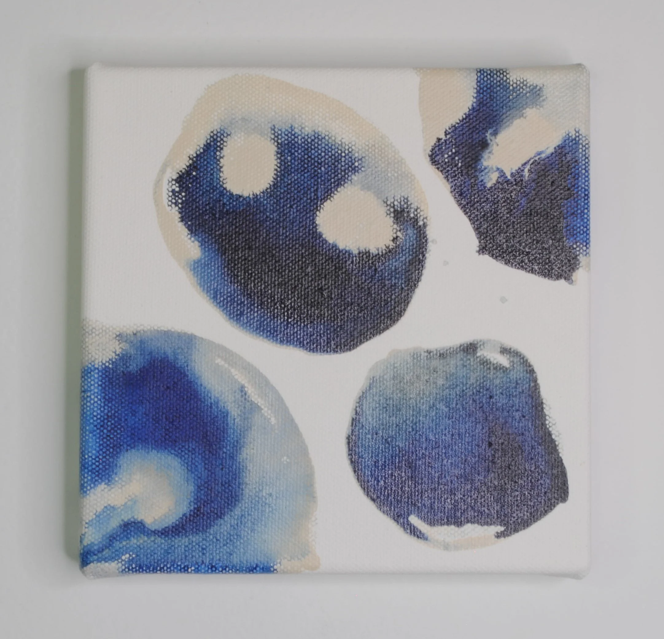 Indigo XXI copy.jpg