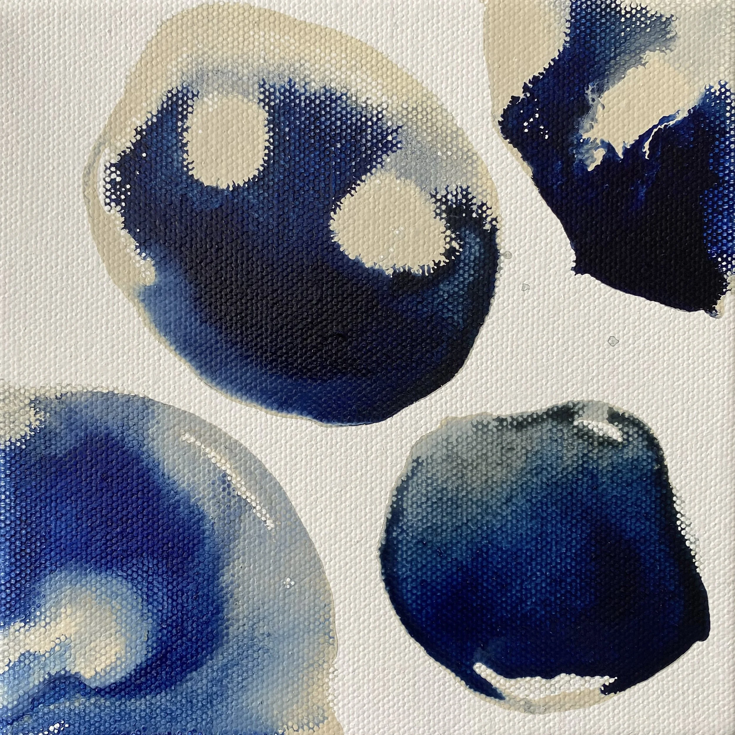 Indigo XXI.jpg