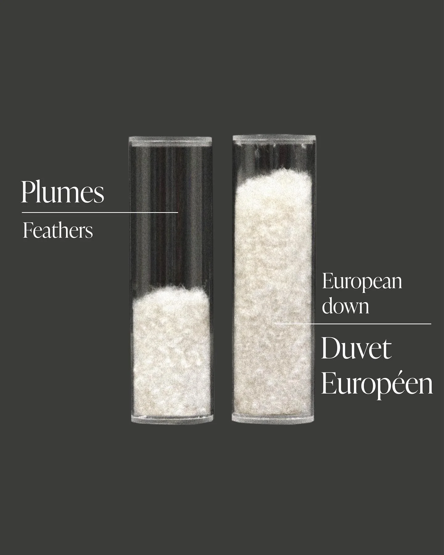 Sofa en plumes vs sofa en duvet europ&eacute;en : quelles diff&eacute;rences ?
.
Le sofa en plumes : Principalement de grandes plumes qui apportent du rebond et une certaine fermet&eacute; pour un confort moelleux avec un bon maintien. C&rsquo;est le