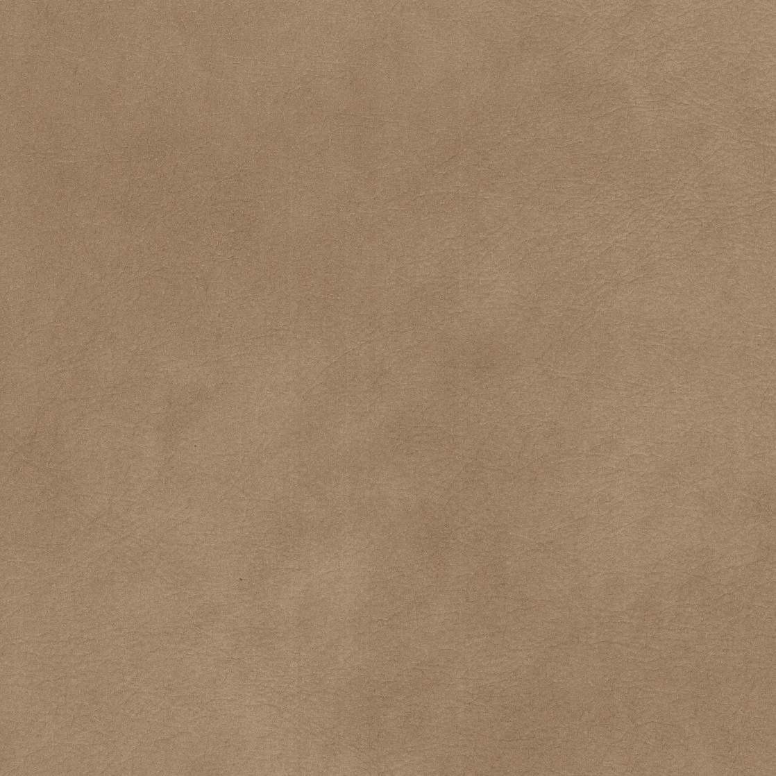 ASPEN - ZENO