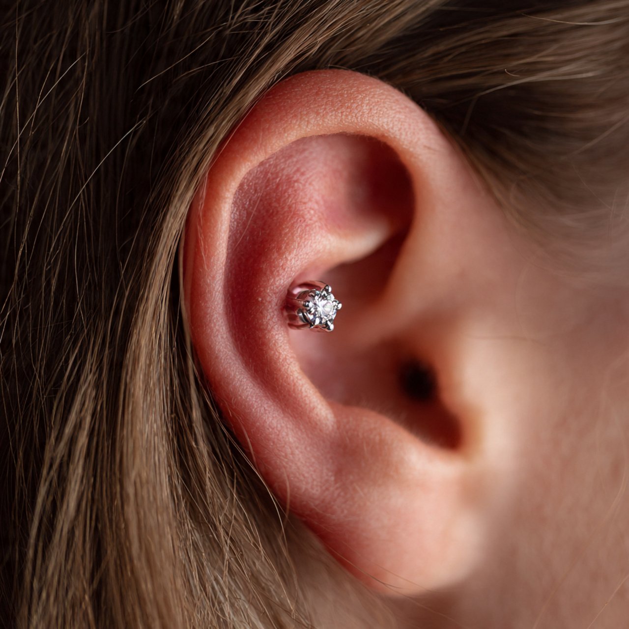 Conch