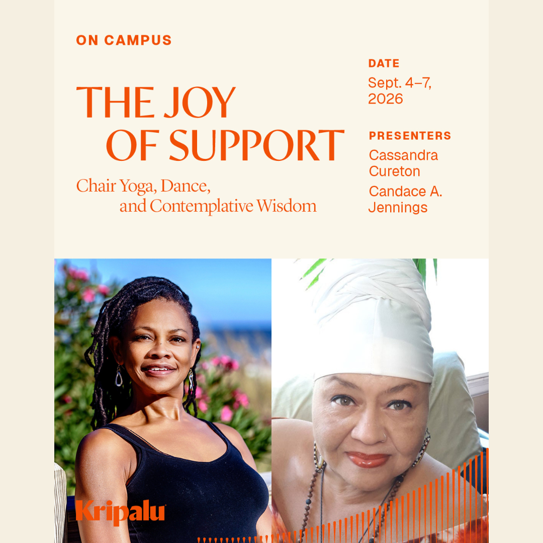 The Joy of Support: Chair Yoga, Dance &amp; Contemplative Wisdom