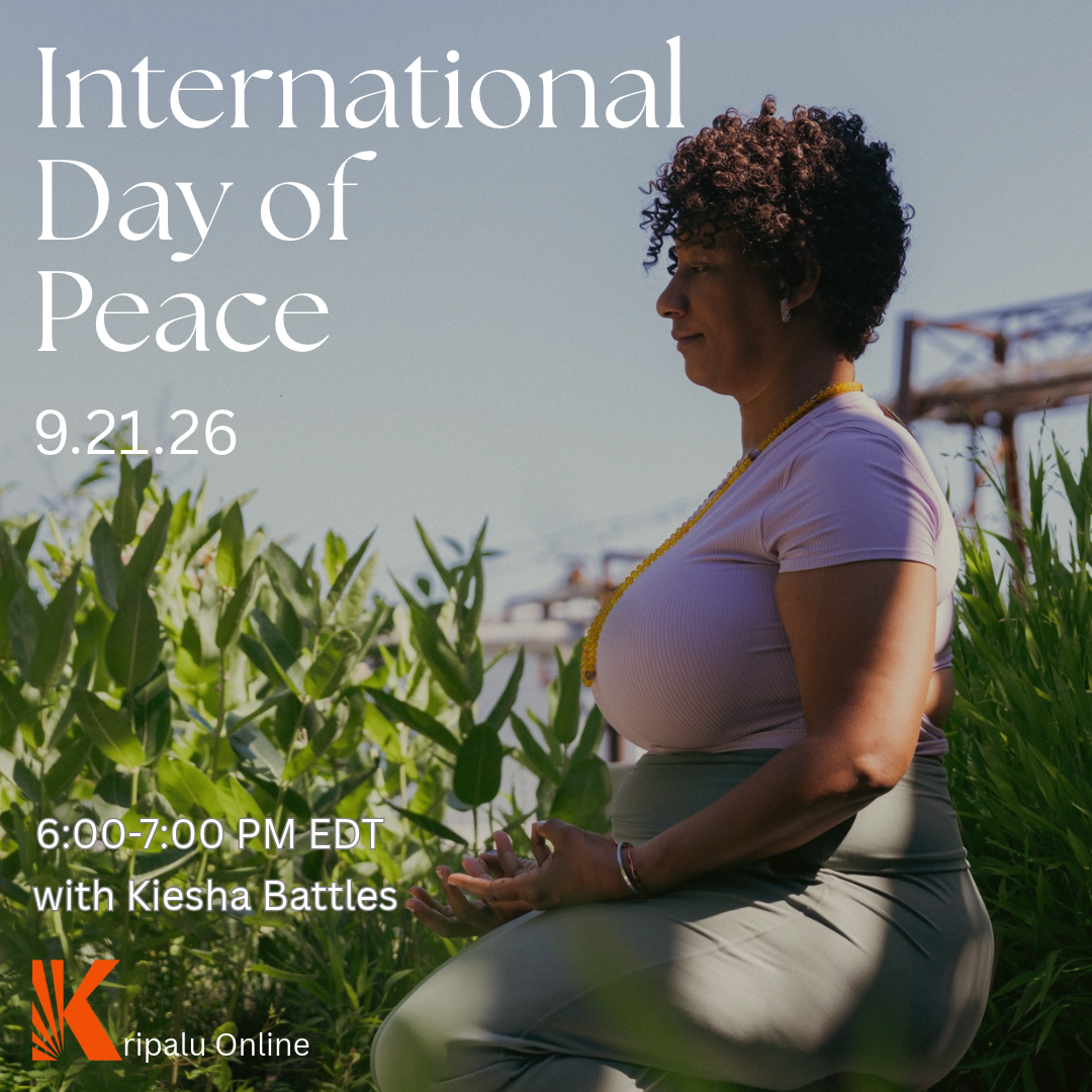 International Day of Peace Yin Practice