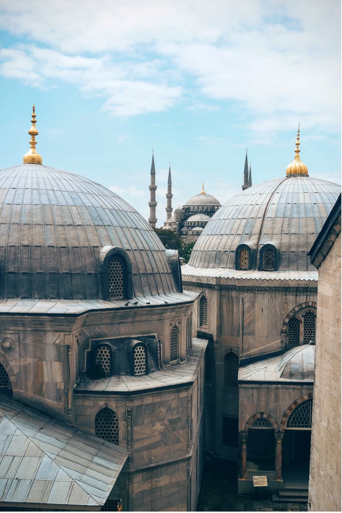 A Turkish Delight: Een zinnelijke reis door Istanbul