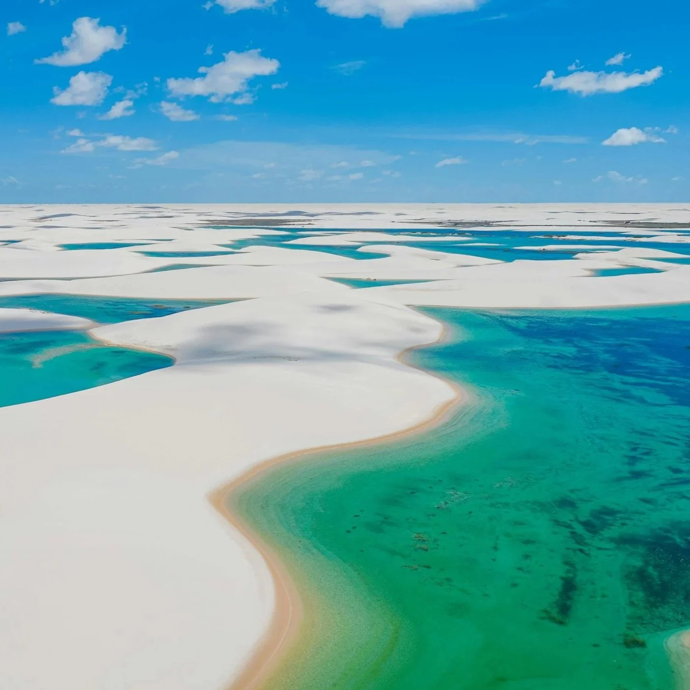 Zomerreis naar Brazilië