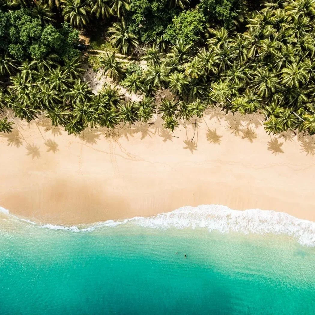 Waan je op de filmset van Jurassic park op de vergeten eilanden São Tomé &amp; Principé