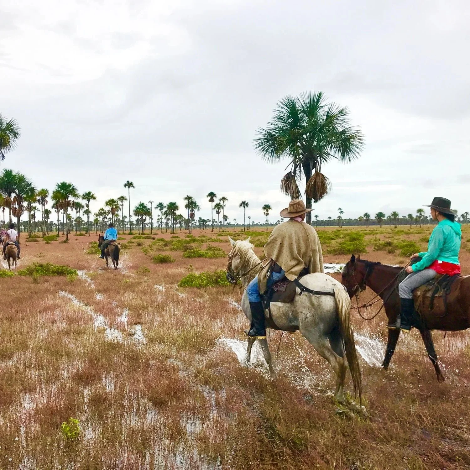 Lasso werpen bij de cowboys in Colombia