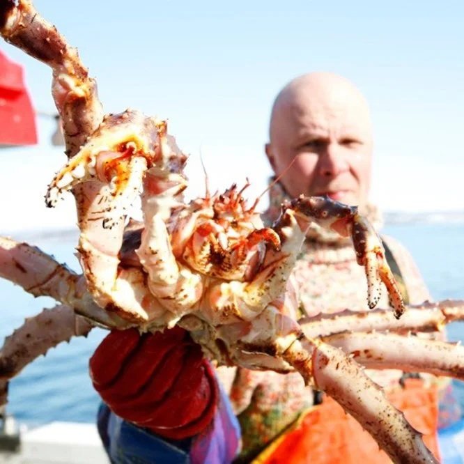 De culinaire revolutie van Noorwegen