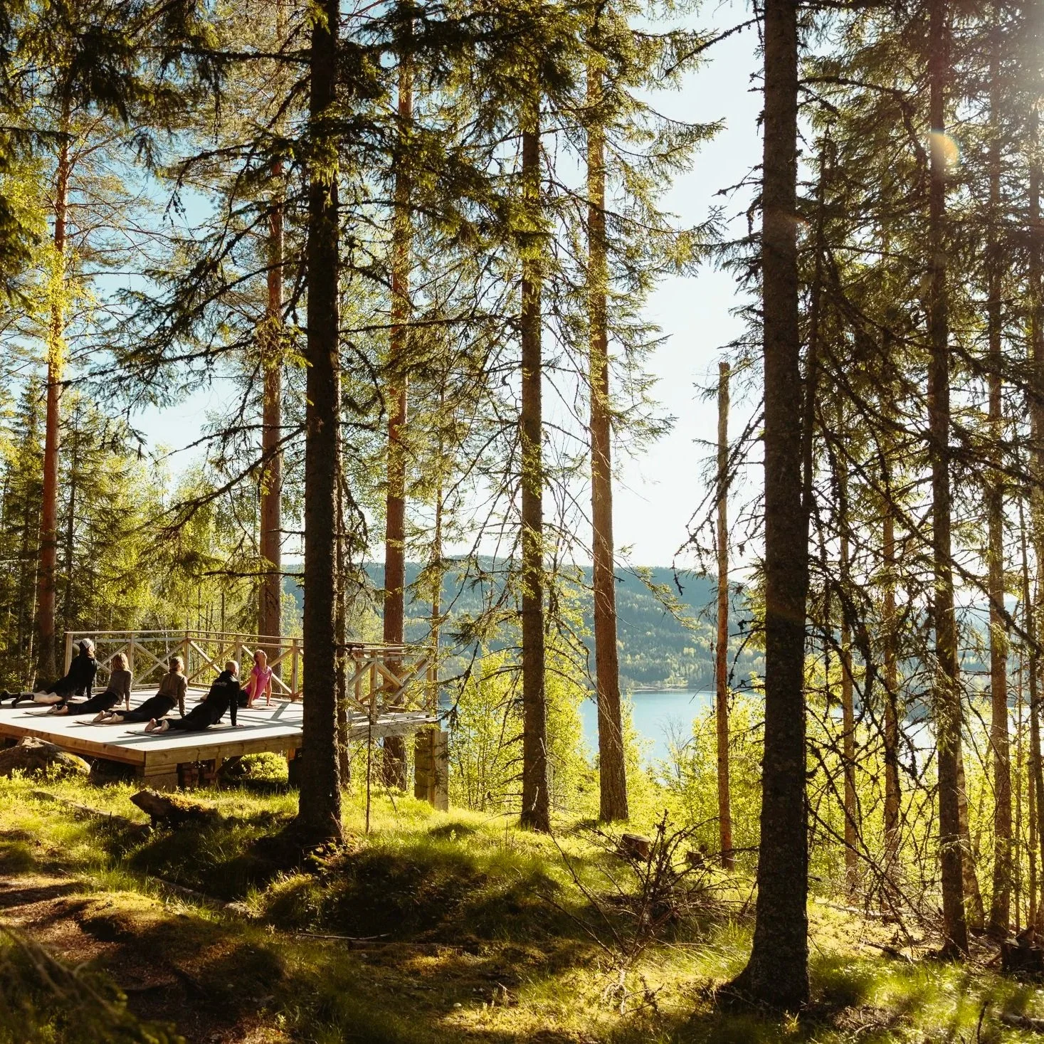 Noorwegen - het land van wilde wijze vrouwen