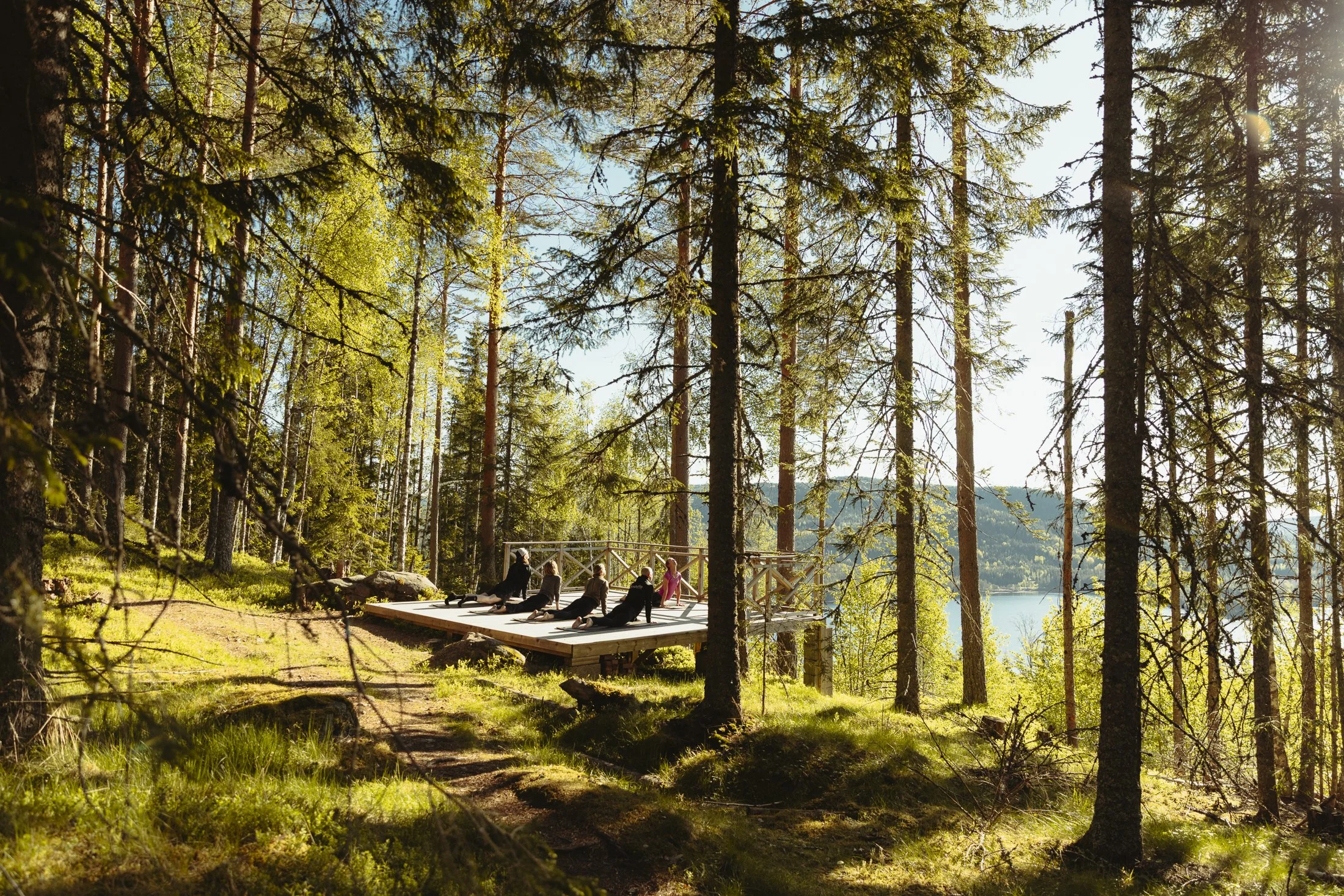 Photocredits for Aron Klein