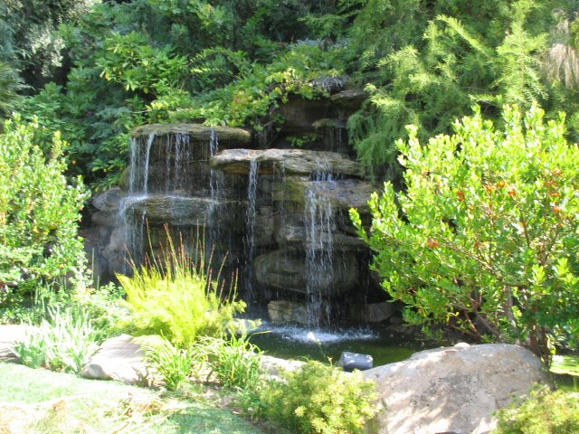 IMG_1275.jpg