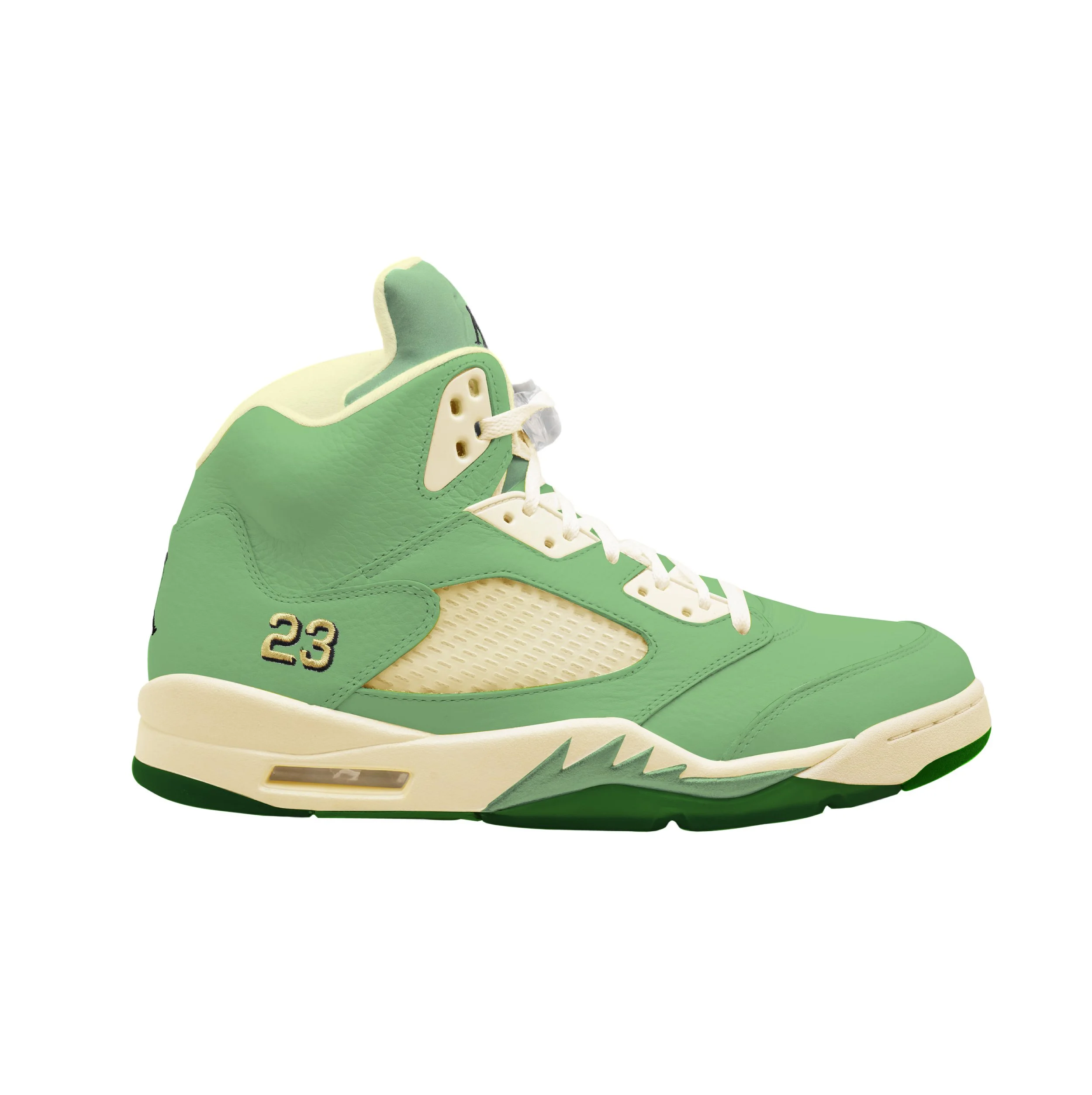 Jordan5.jpg