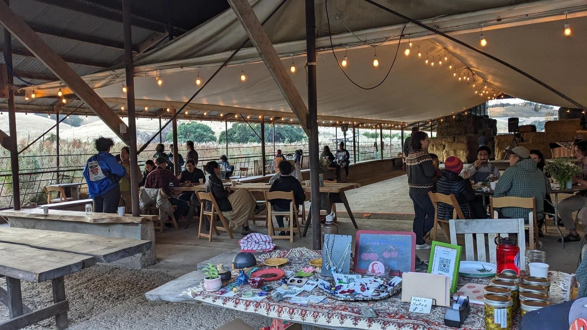 Tirgan Festival at the farm in 2024