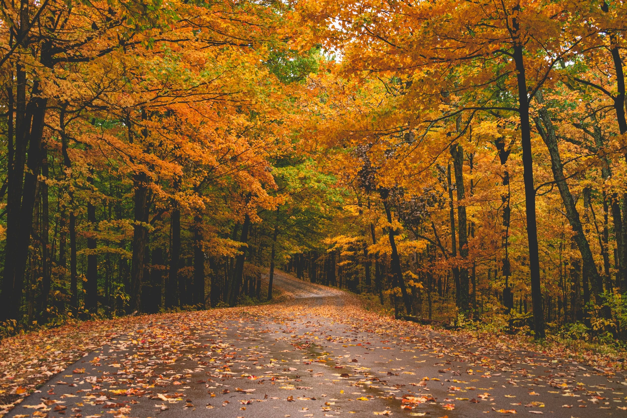 Brain Fog and Weight Gain in Perimenopause