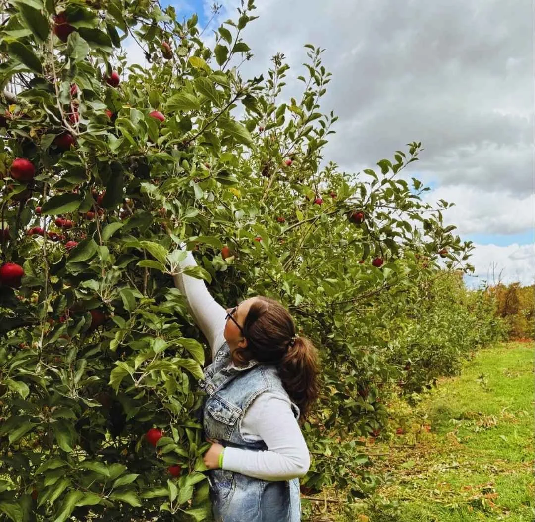 Olivia picking apples in an orchard